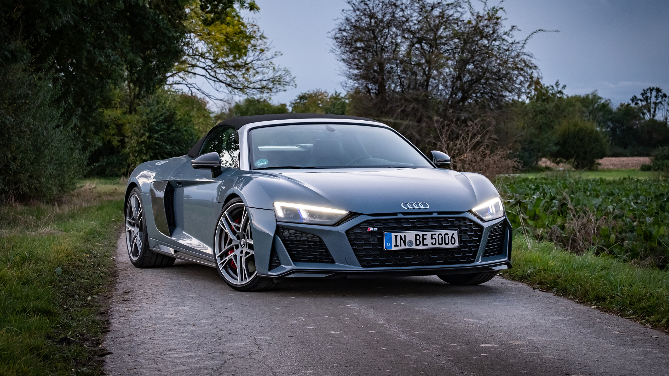 Audi r8 Gray