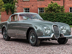 Фотографии Ягуар Винтаж Pininfarina Металлик Купе 1954 XK120 SE