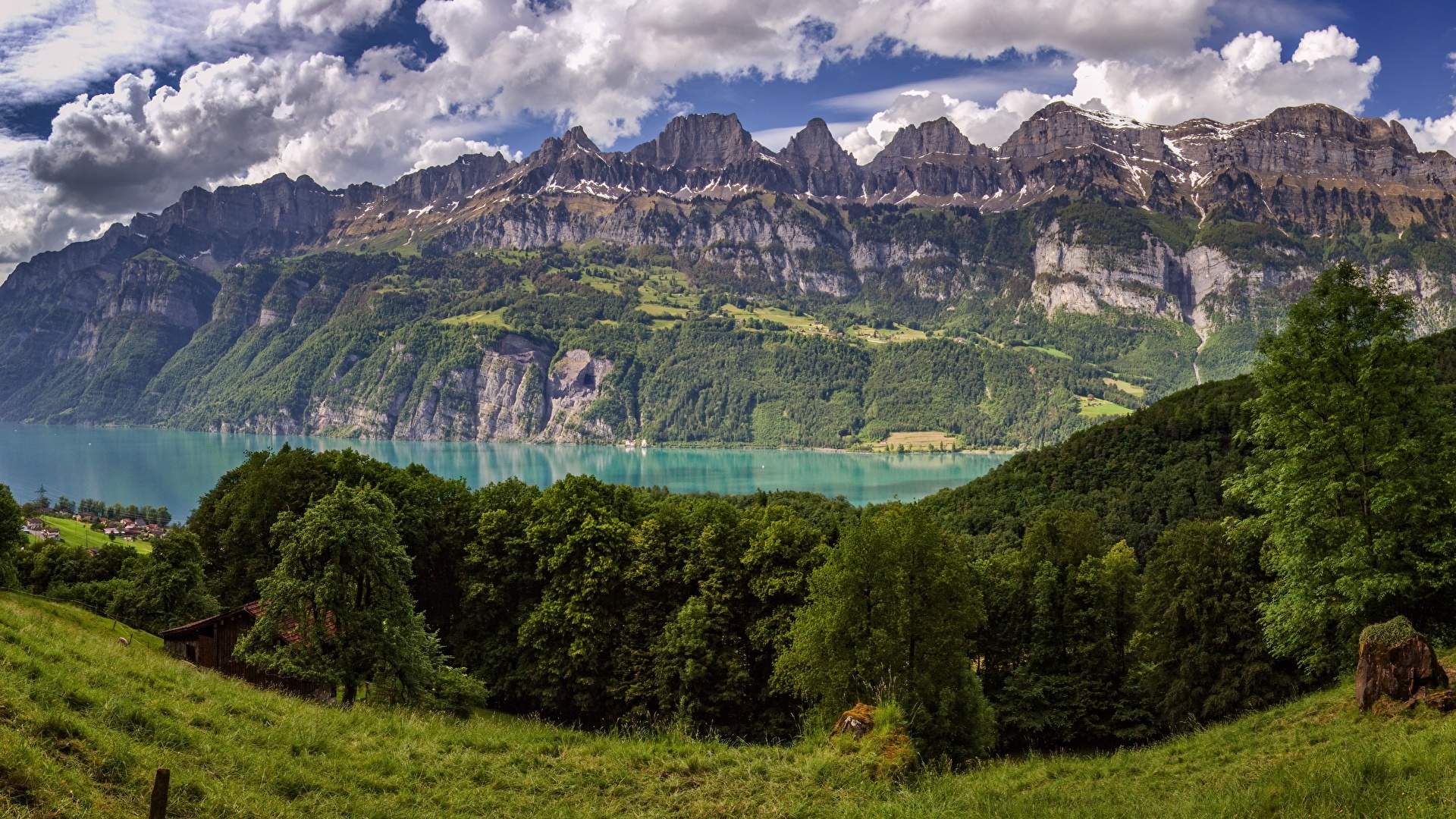 Картинка Альпы Швейцария Walensee Lake Walen гора Природа 1920x1080