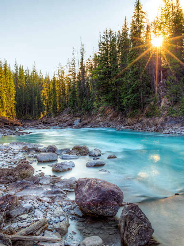 Фото Лучи света Канада Природа Леса Озеро Пейзаж река Камень 600x800 лес Реки Камни речка