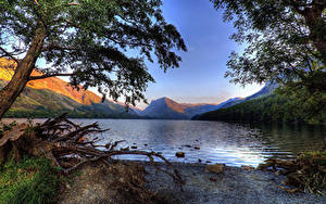 Фотография Англия Озеро Берег Пне Lake Buttermere Cumbria