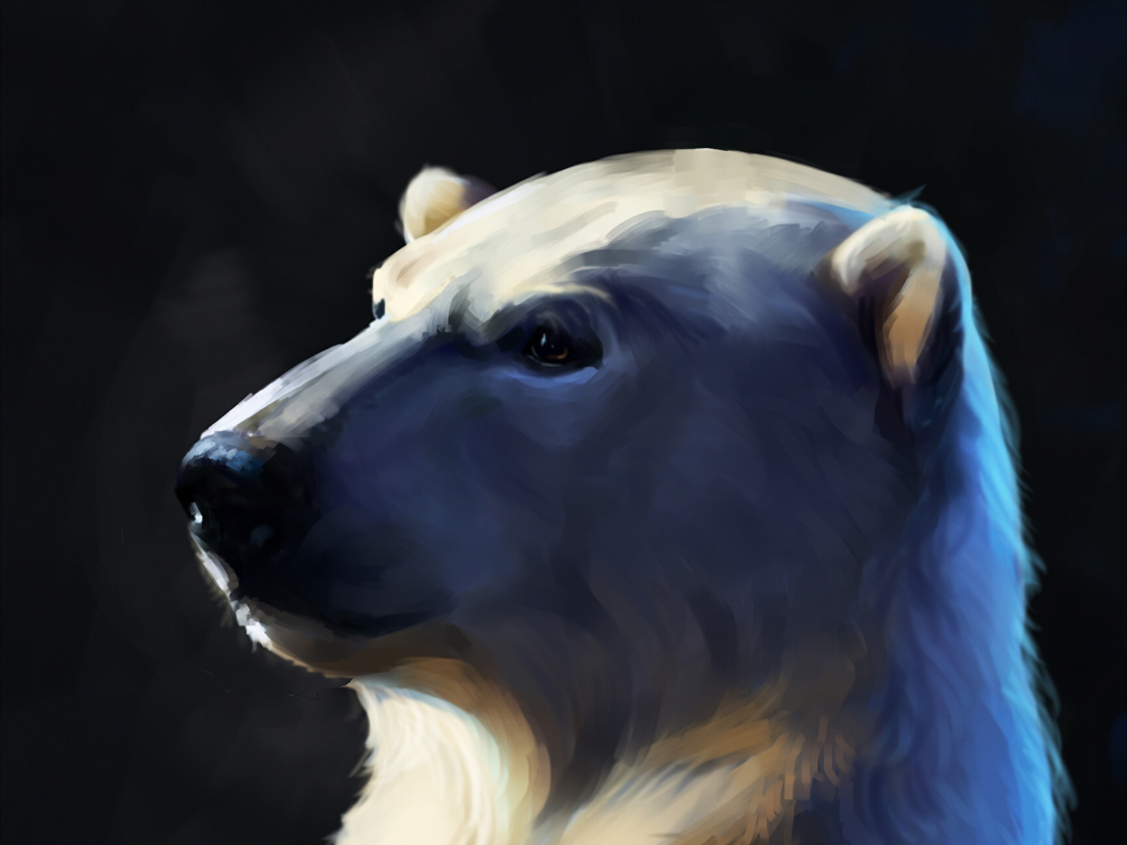 Фотография полярный Голова животное Рисованные 1600x1200 для мобильного телефона северный Белые Медведи головы Животные