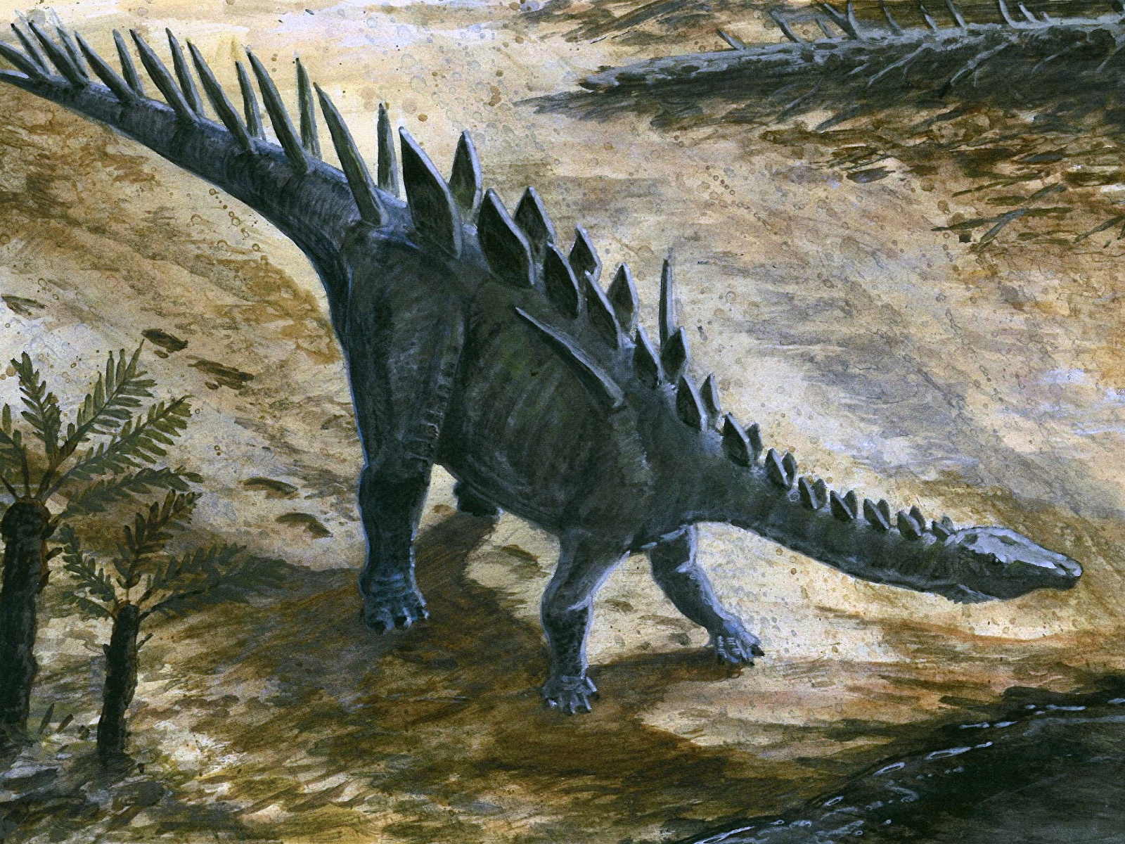 Динозавры это животные. Стегозавры в мезозойскую эру. Стегозавр Эра. Стегозавр парк Юрского периода. Шаровка динозавр.