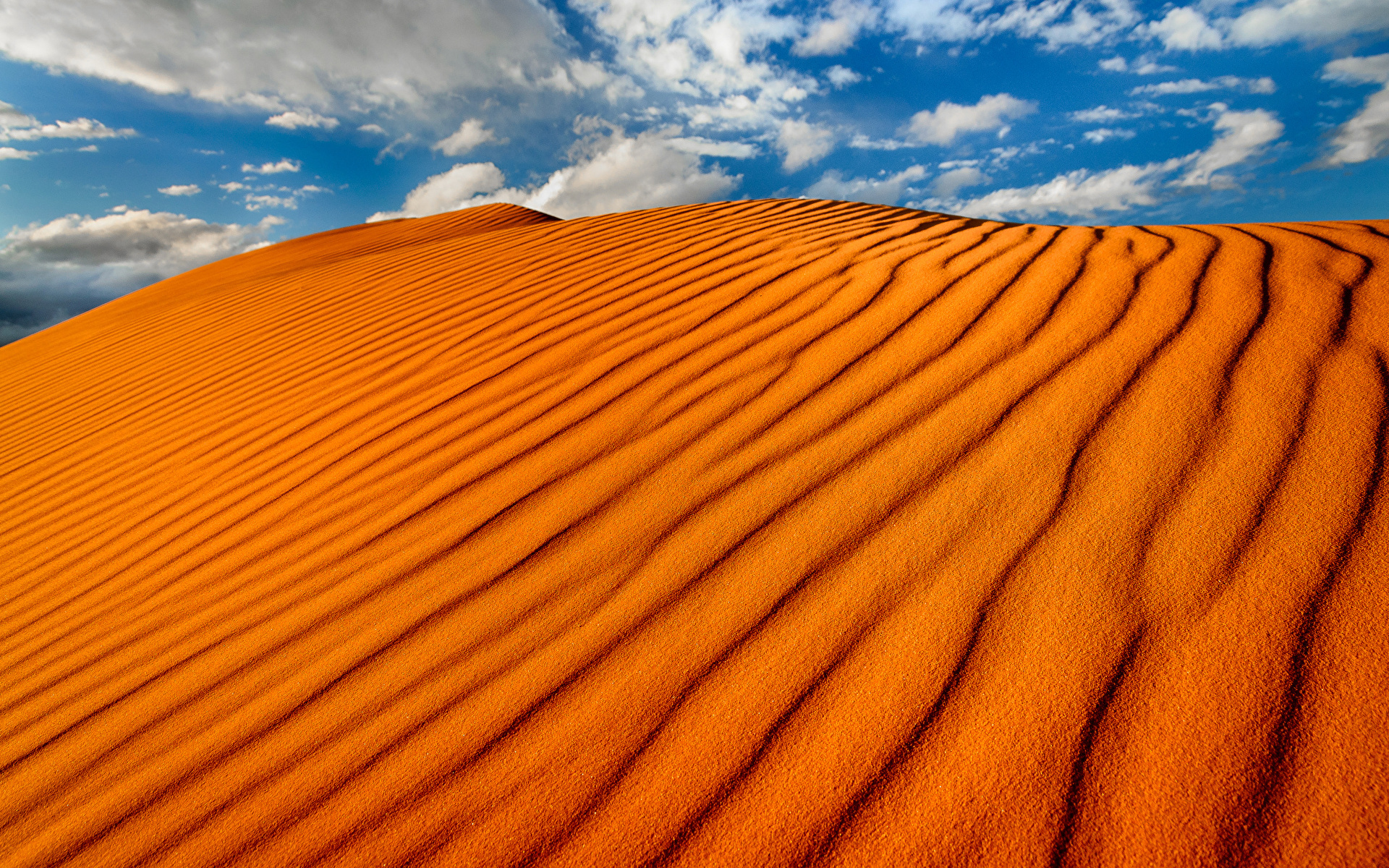 природа пустыня небо облака песок трава загрузить
