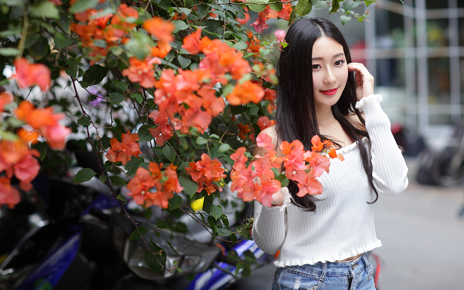 Фото брюнеток молодые женщины Азиаты смотрят Цветущие деревья 1920x1200 брюнетки Брюнетка девушка Девушки молодая женщина азиатки азиатка Взгляд смотрит