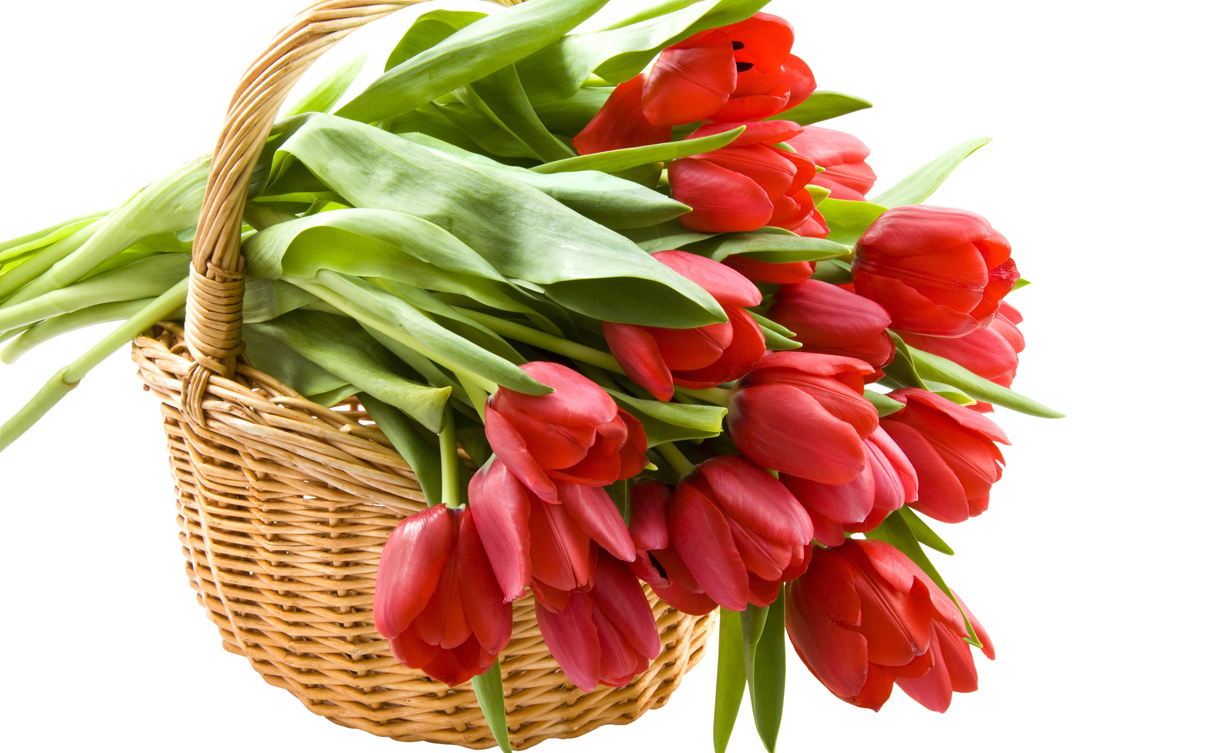 Поздравление с праздником цветов. Цветы тюльпаны. Букет тюльпанов открытка. С днём рождения тюльпаны.