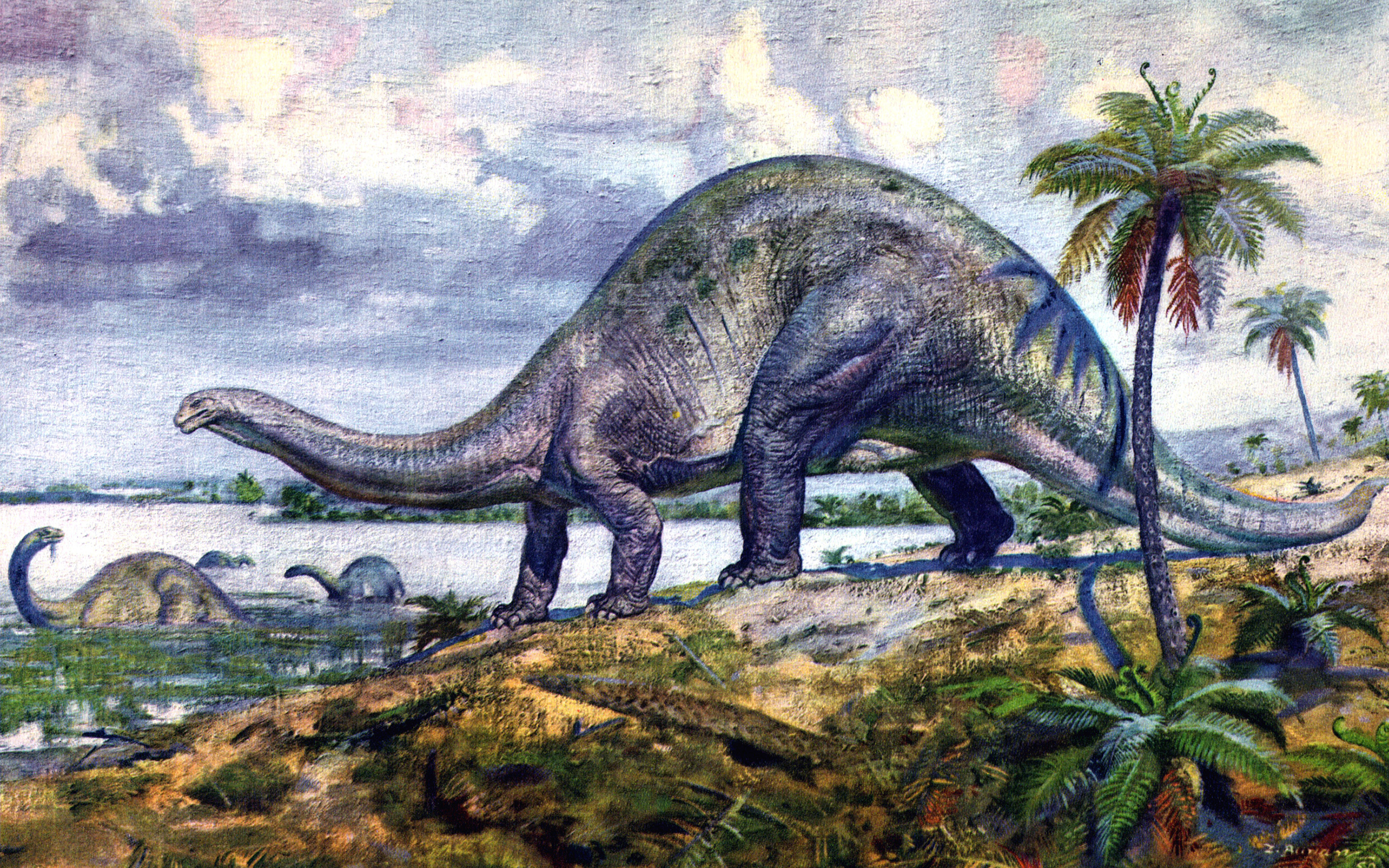 Мезозойская группа. Динозавры Триасового периода. Юрский период мезозойской эры. Динозавры мезозойской эры. Триасовый период мезозойской эры.