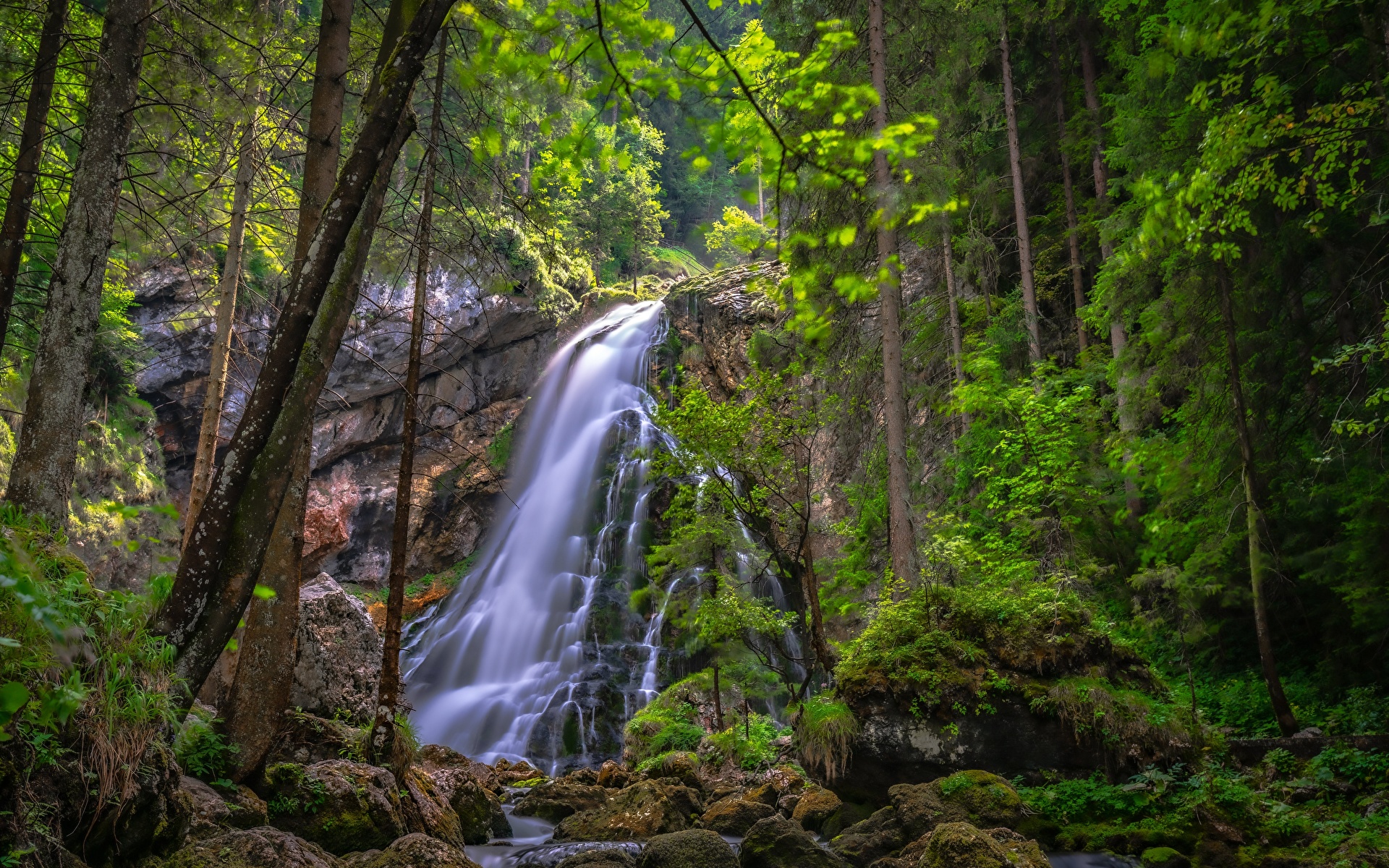 Фото Австрия Golling Waterfall Природа Водопады мха Камни дерева 1920x1200 Мох мхом Камень дерево Деревья деревьев