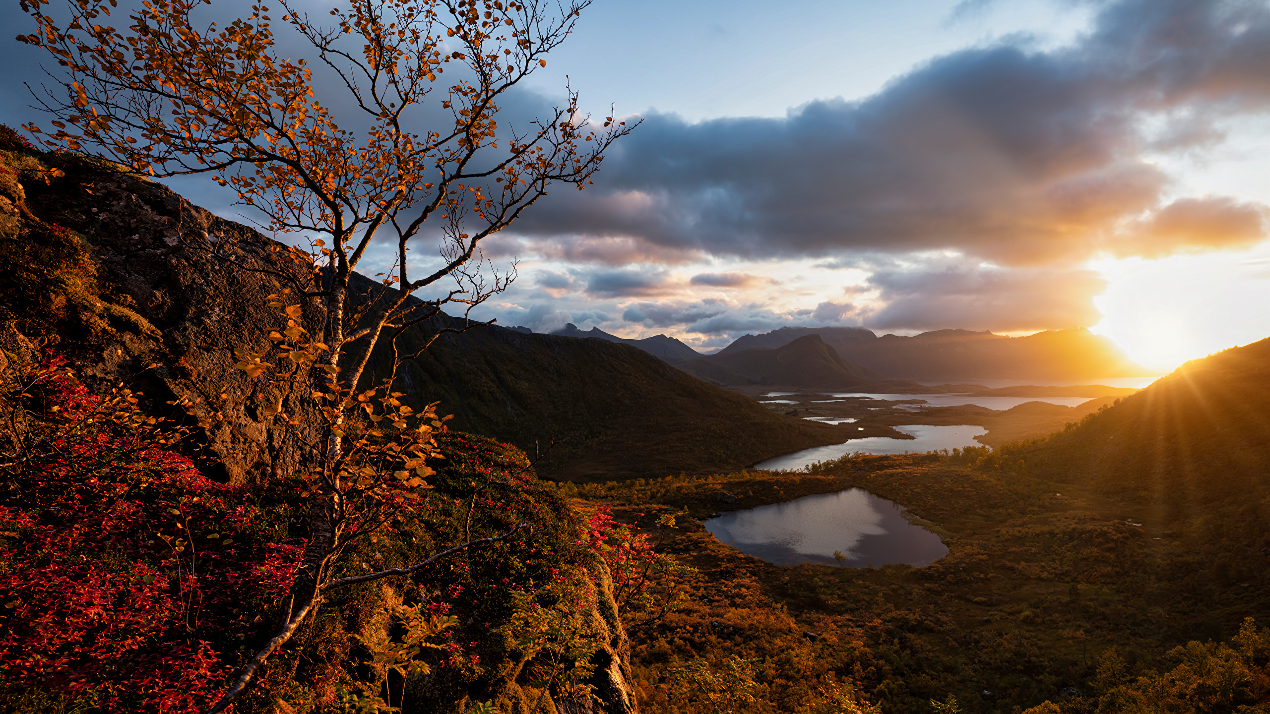 Обои для рабочего стола Лофотенские острова Норвегия Осень Солнце Природа рассвет и закат Облака 2560x1440 солнца осенние Рассветы и закаты облако облачно