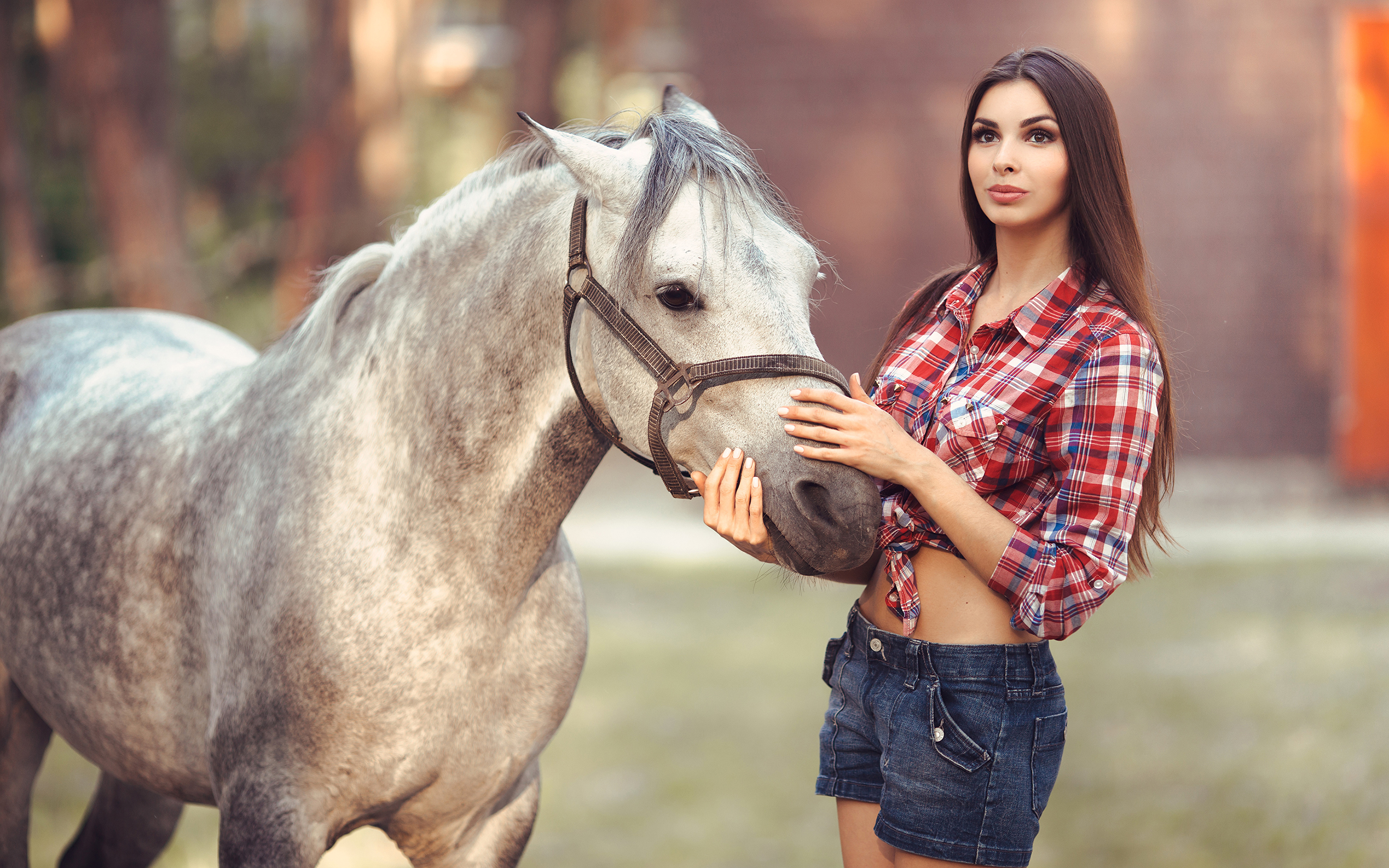 Девушка на лошади в рубашке
