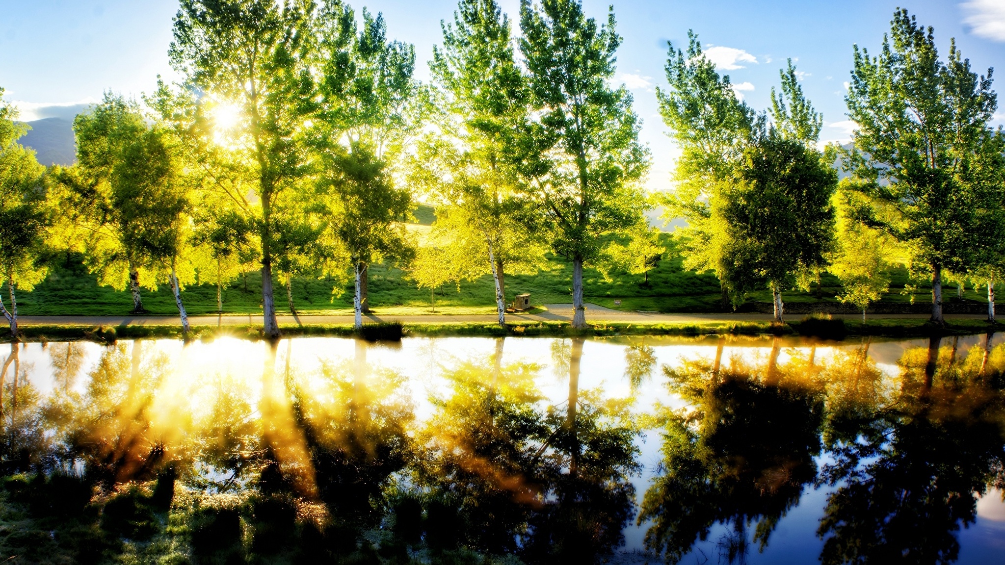 озеро с деревьями бесплатно