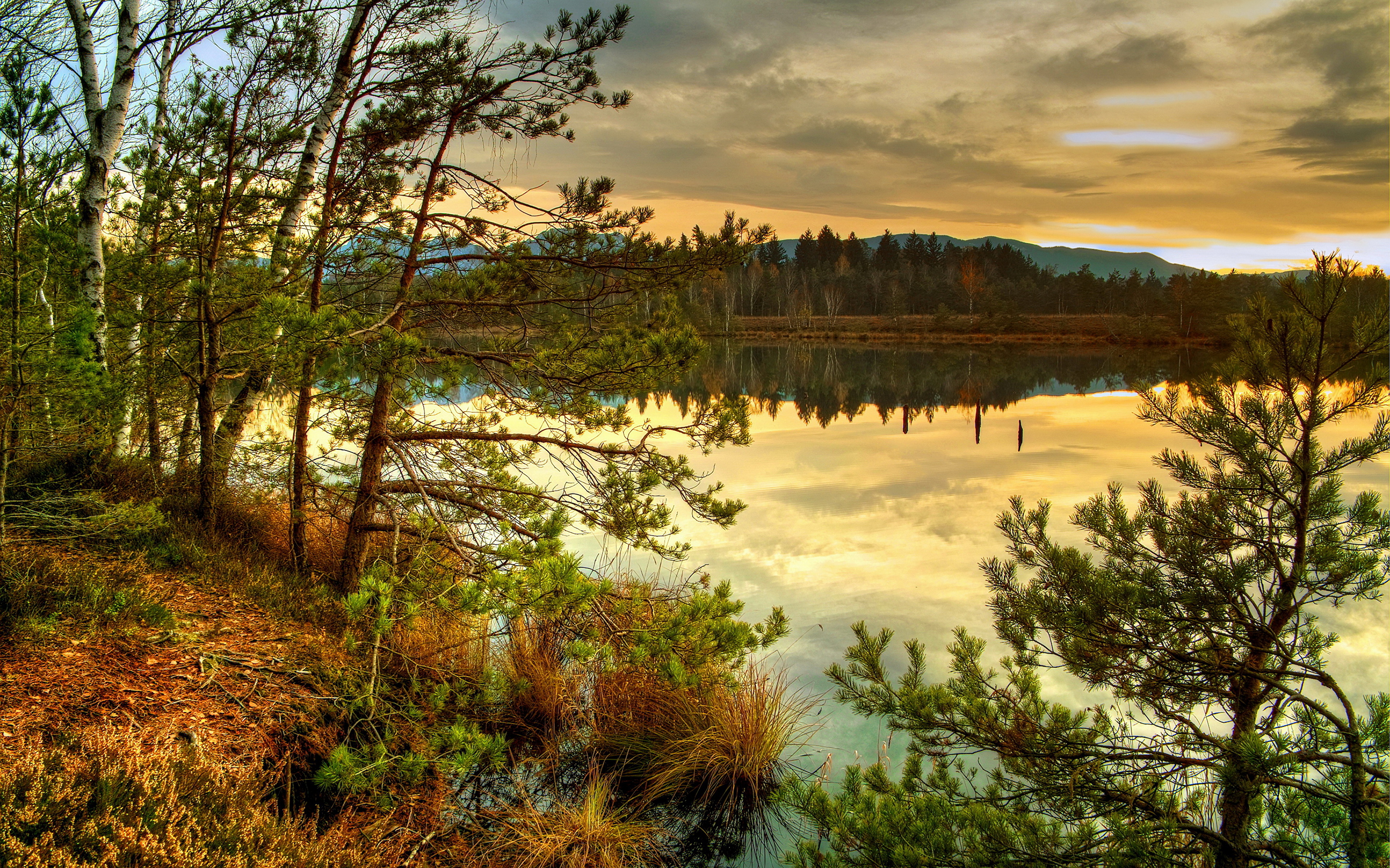 Красивые пейзажи фото. Черустинский лес заповедник. Семиозерье Карелия. Лесное (озеро, Северная Америка). Шхеры Финляндии.
