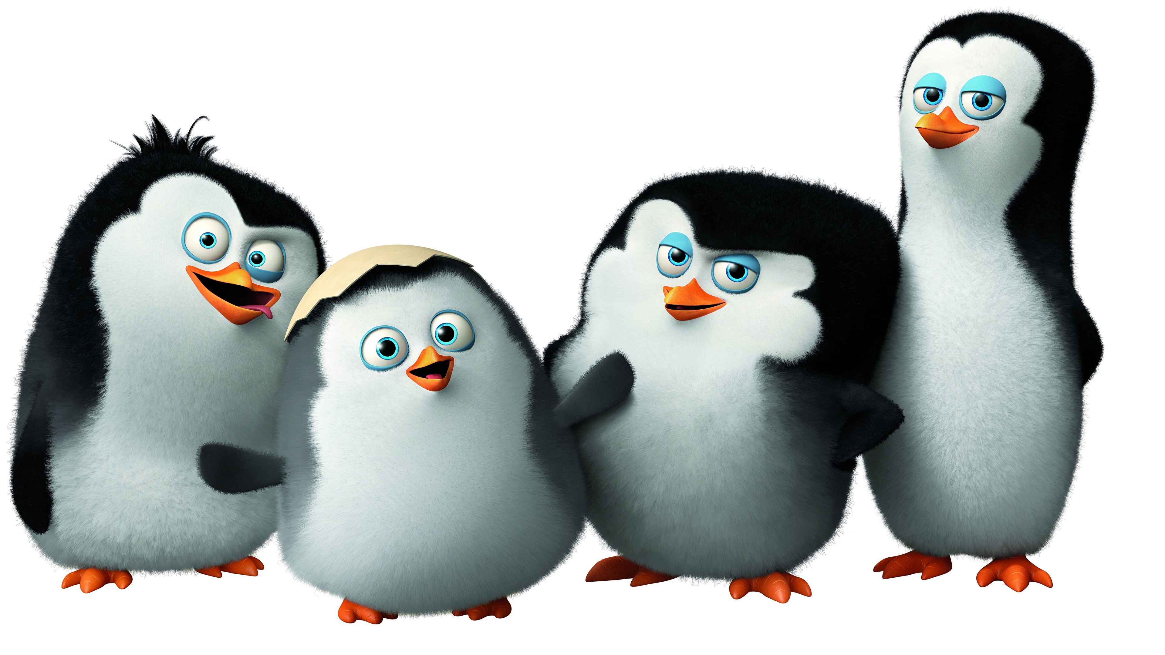 penguins-of-madagascar-2014-3840x2160