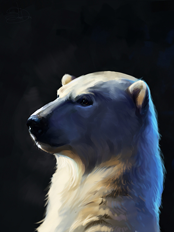 Фотография полярный Голова животное Рисованные 600x800 для мобильного телефона северный Белые Медведи головы Животные