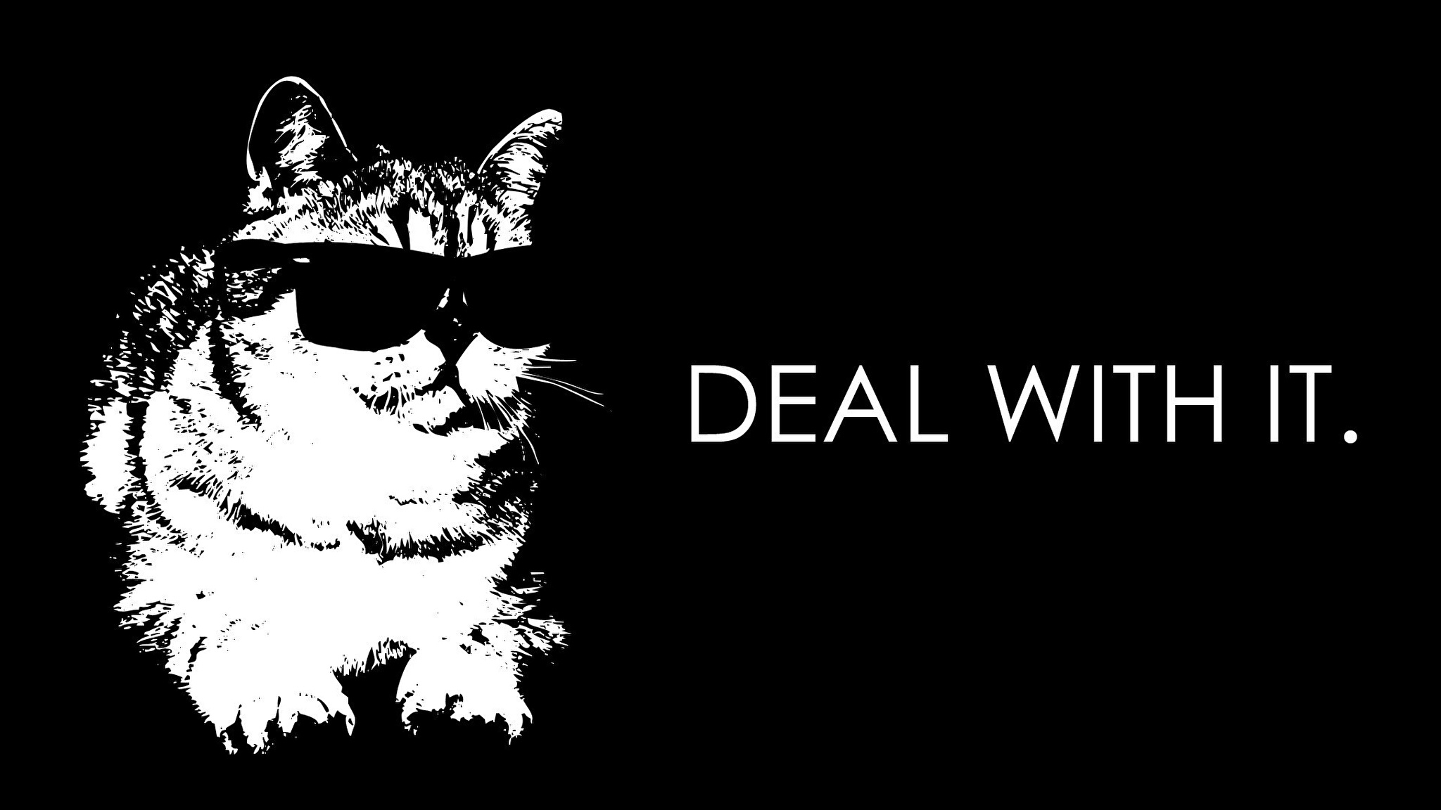 Обои котики мемы. Кот на черном фоне. Кот в очках картинки. Обои КРУТЫХ котов. Картинки на рабочий стол мемы коты.