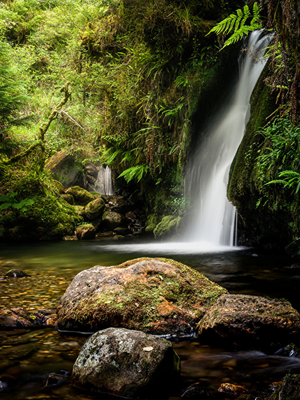 Картинка Ирландия Secret Falls Природа Водопады мха Камни 600x800 для мобильного телефона Мох мхом Камень
