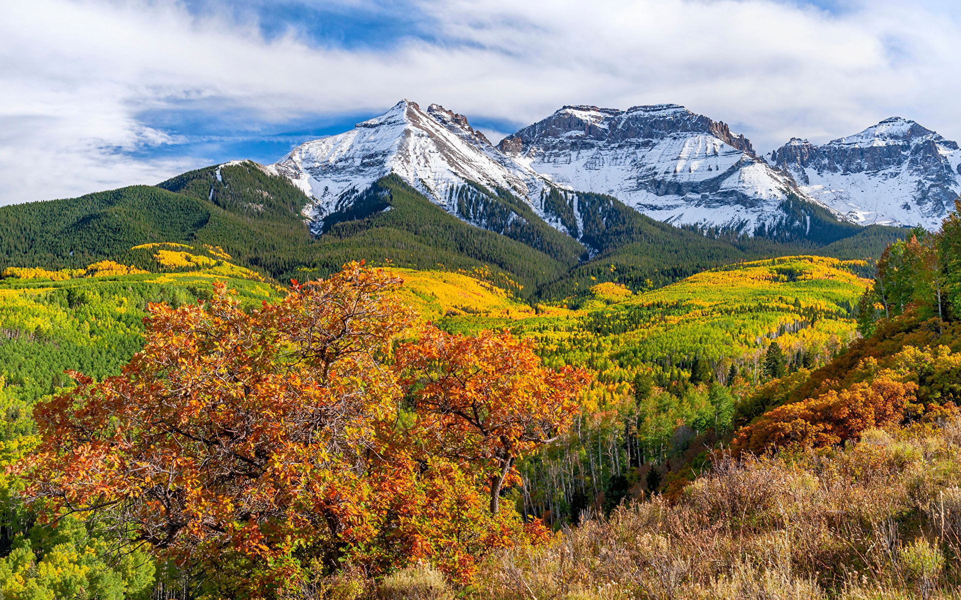 Картинки США Colorado гора Осень Природа Леса Пейзаж 1920x1200 штаты америка Горы осенние лес