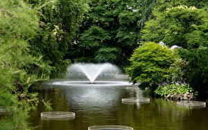 Фотография Парк Вроцлав Польша Botanical Garden Природа