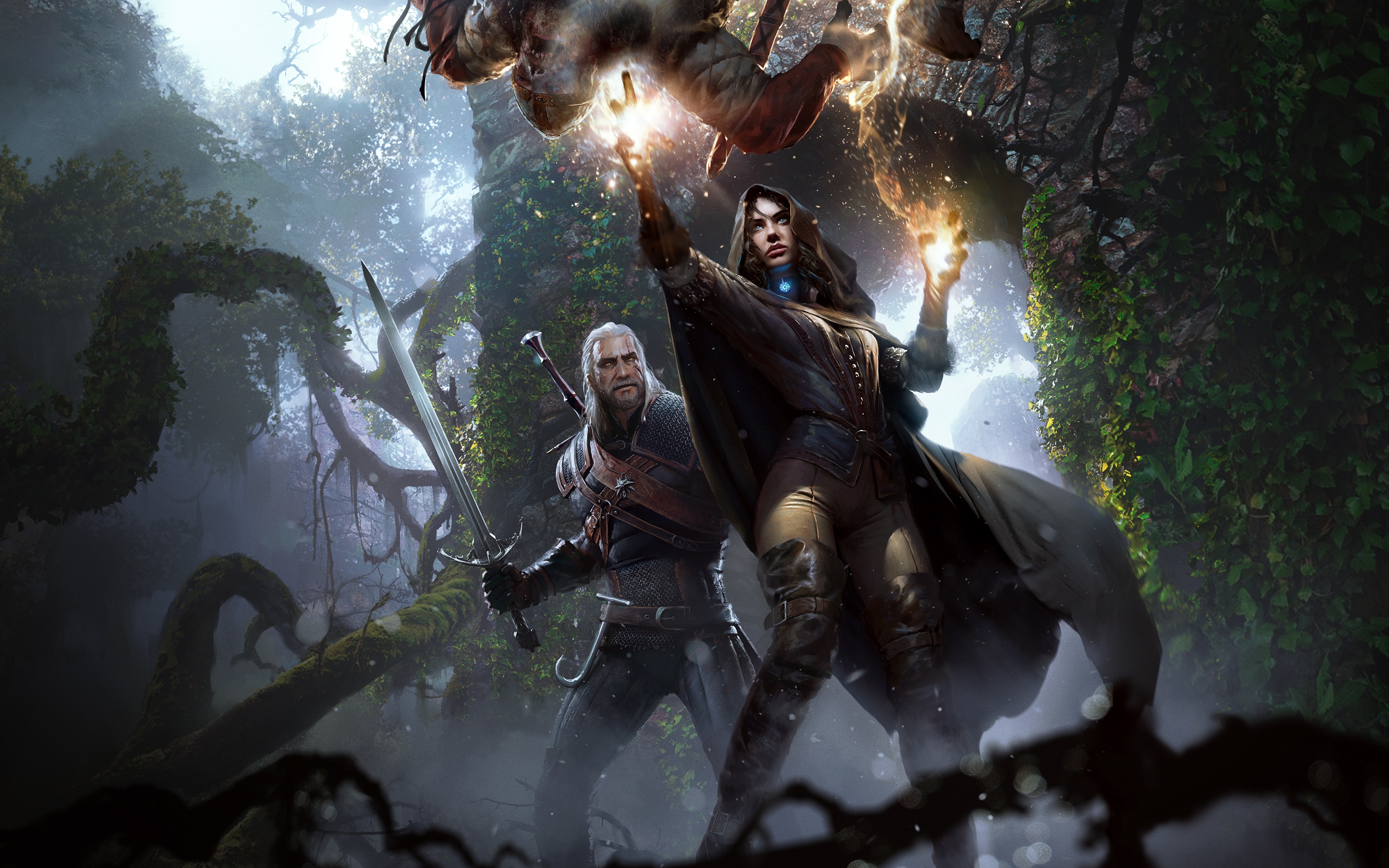 The witcher 3 art 4k фото 73