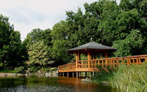 Фотографии Сады Вроцлав Польша Japanese Garden Природа