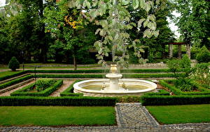 Фото Сады Вроцлав Польша Botanical Garden of Wroclaw University Природа