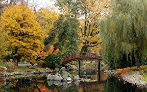 Обои Сады Пруд Вроцлав Польша Japanese Garden Природа