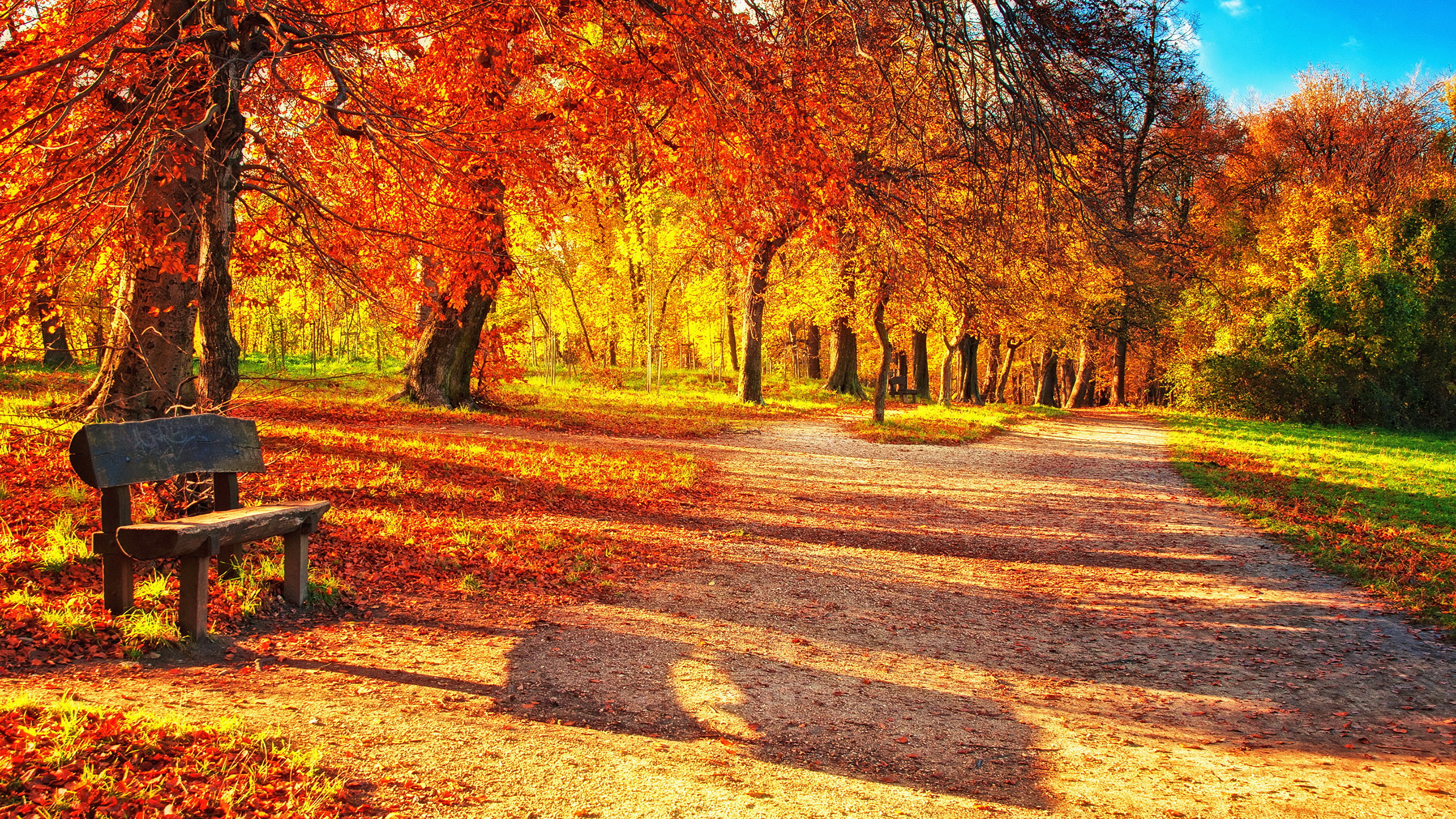 скамейка осень листья парк скачать