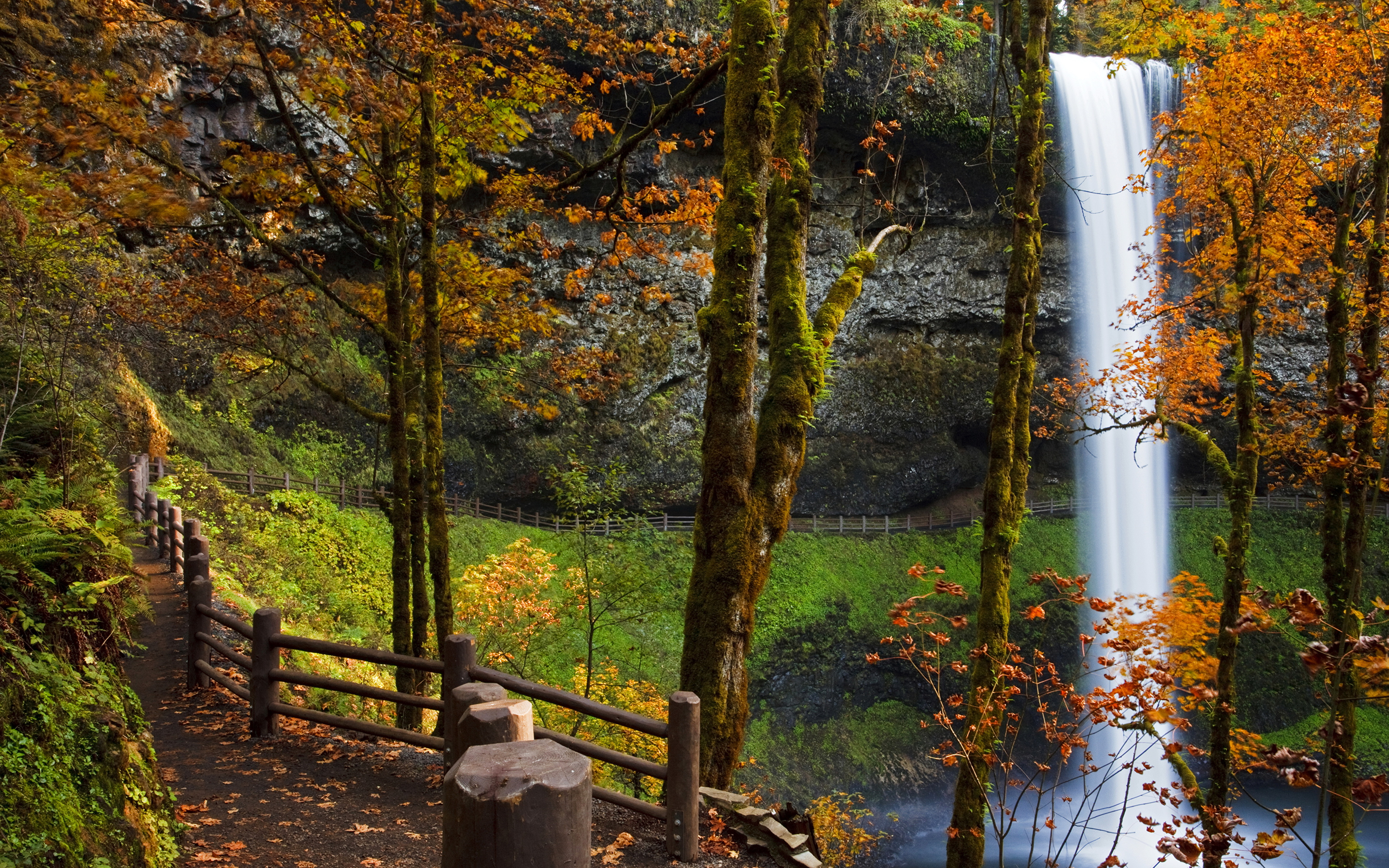 природа водопад осень листья деревья бесплатно