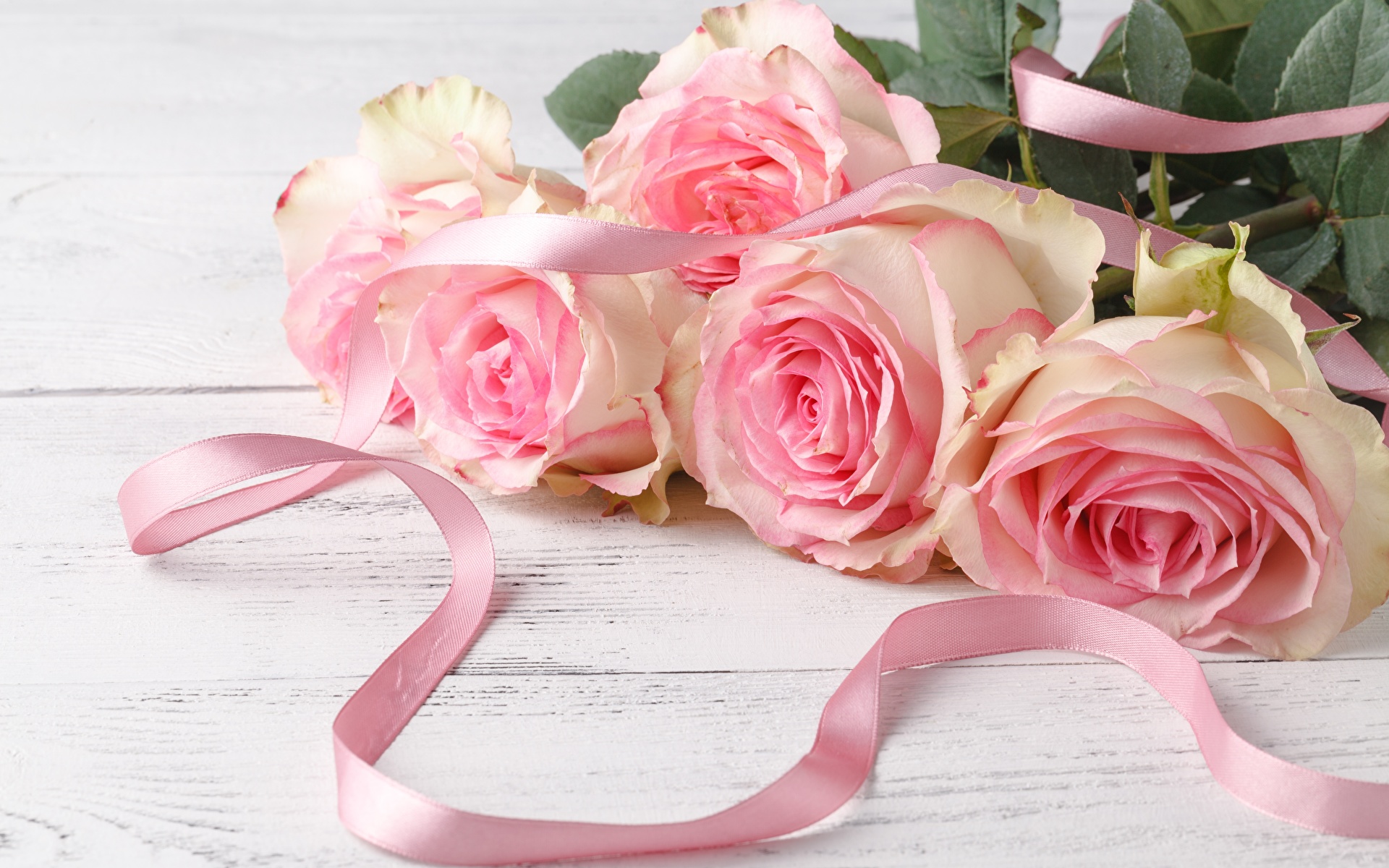 Roses_Bouquets_Ribbon_Pink_color_584859_1920x1200.jpg
