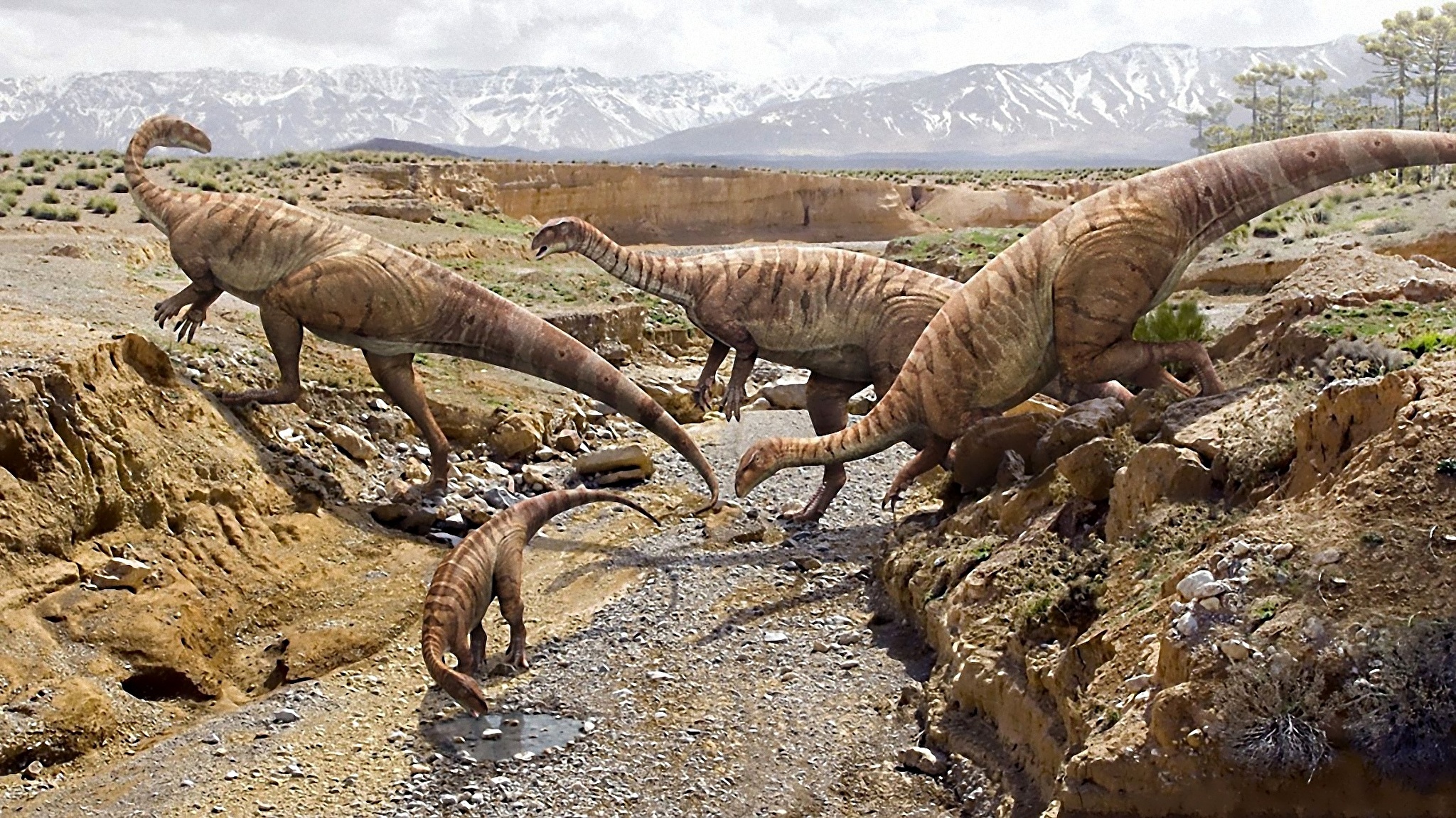 Древние времена динозавров. Динозавры Триасового периода. Тираннозавр Буриан. Платеозавр Триас. Древние динозавры.
