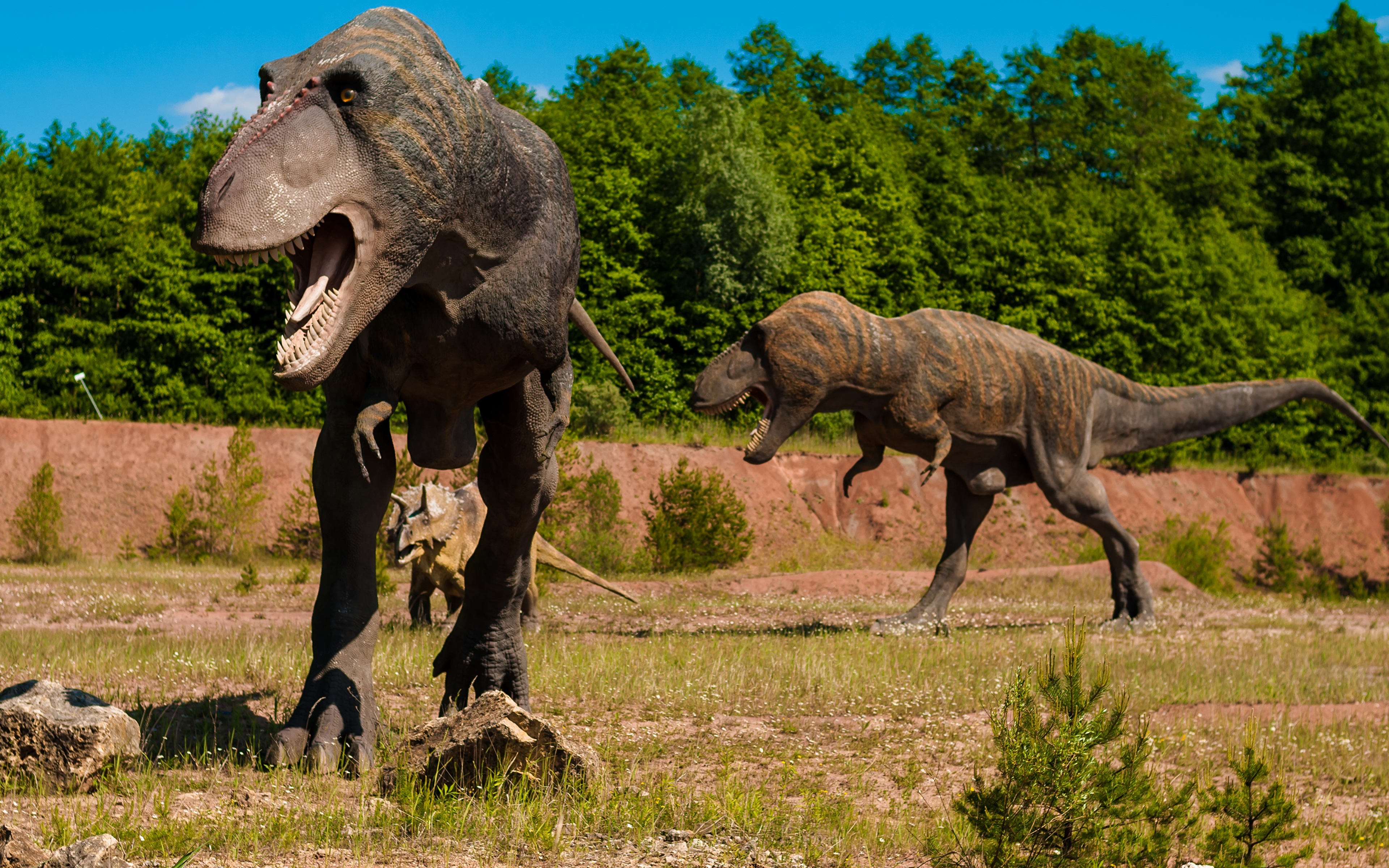 Фото Тираннозавр рекс Динозавры траве Животные Скульптуры 3840x2400 динозавр Трава животное скульптура