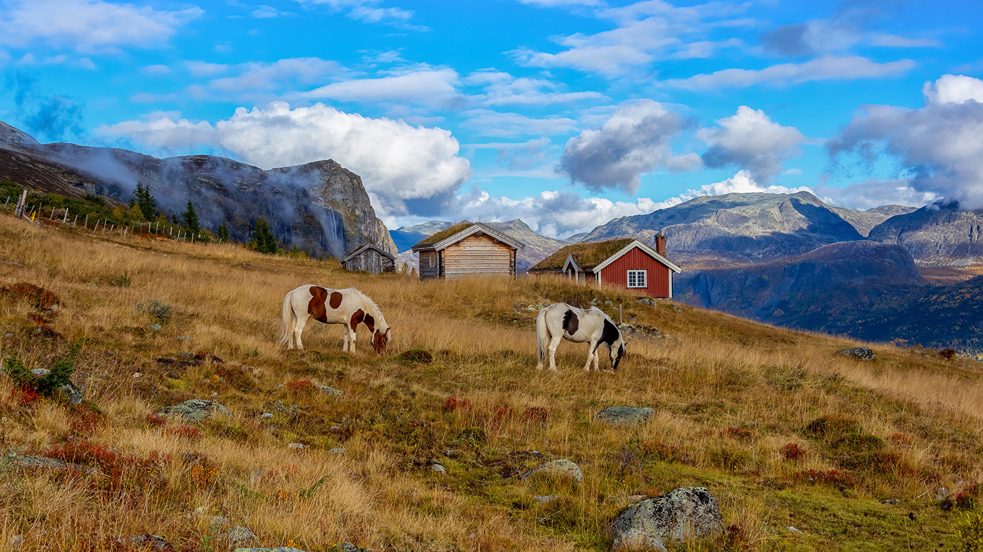 Картинки Лошади Норвегия Hemsedal Горы Природа Камни облачно 1920x1080 лошадь гора Камень Облака облако