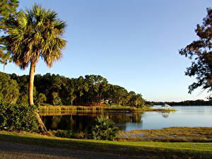 Картинки Пейзаж Штаты Река Пальмы Florida Природа