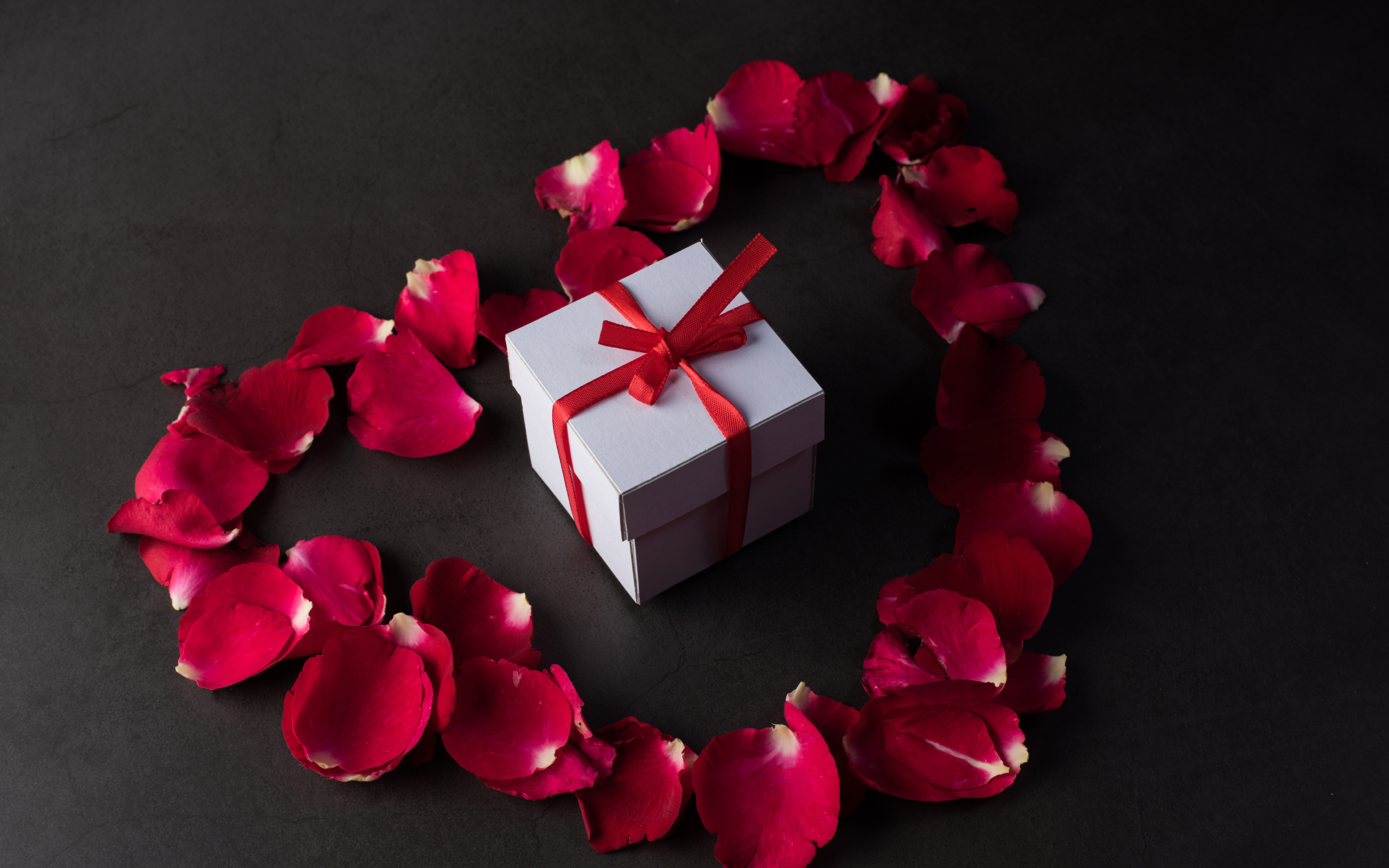 Картинки День святого Валентина лепестков темно красный Цветы подарков Серый фон 3840x2400 День всех влюблённых Лепестки бордовая бордовые Бордовый цветок подарок Подарки сером фоне