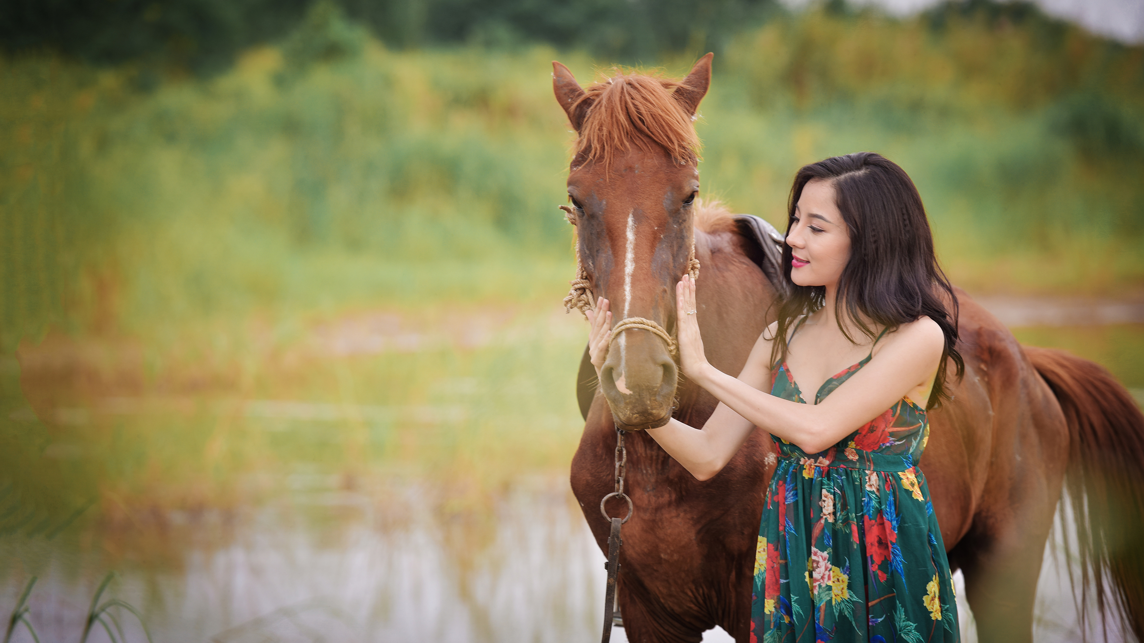 девушка шляпа лошадь лицо животное без смс
