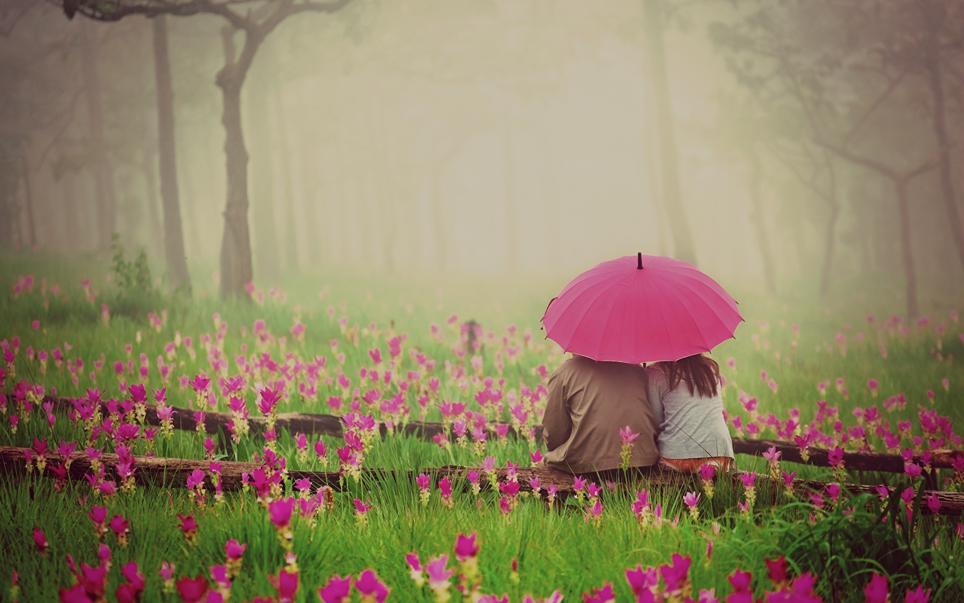 Картинки Влюбленные пары тумане Природа Цветы Зонт Трава 1920x1200 любовники Туман тумана цветок траве зонтом зонтик