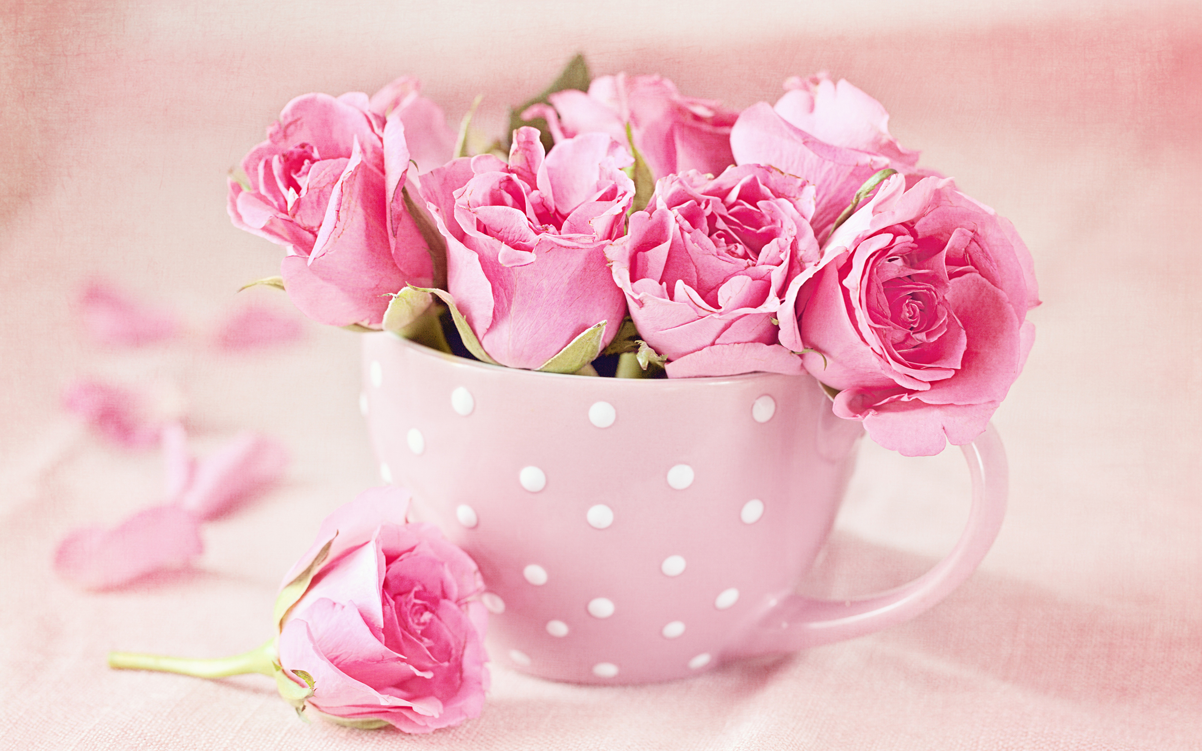 Roses_Pink_color_Mug_457558_3840x2400.jpg