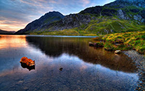 Обои Озеро Горы Собаки Англия Snowdonia Природа