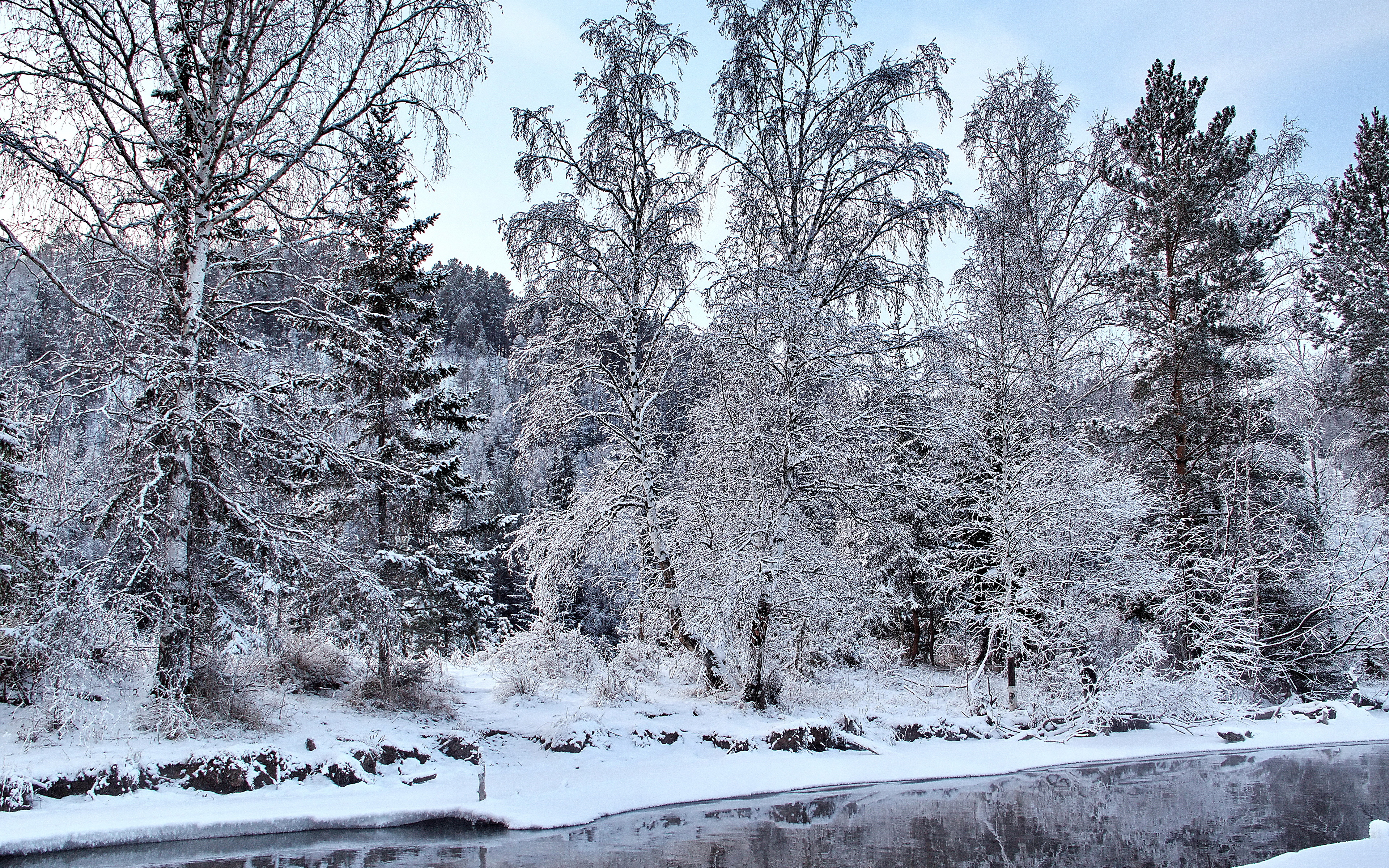 Фотография Зима Природа Снег дерева 3840x2400 зимние снега снегу снеге дерево Деревья деревьев