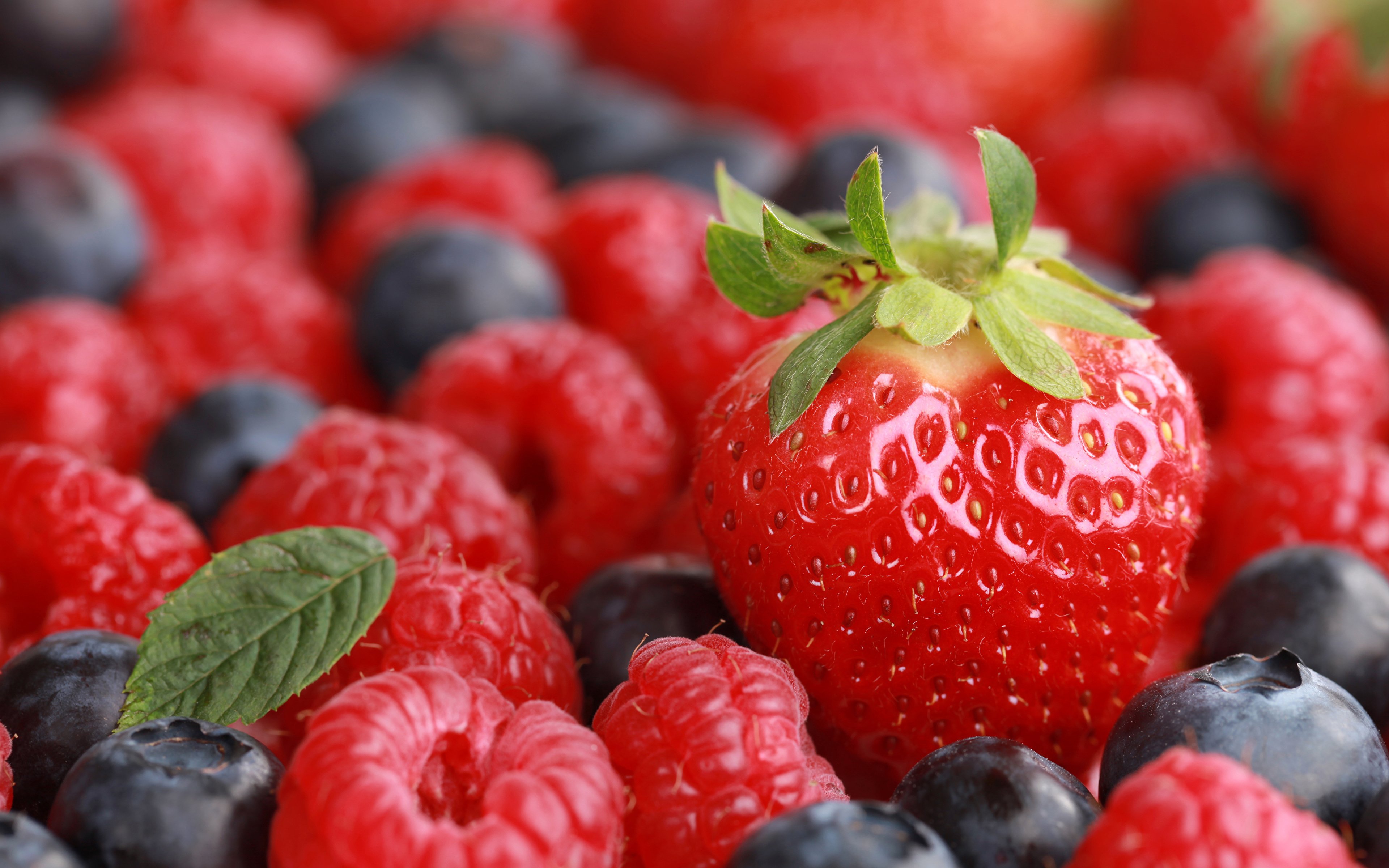 еда ягоды малина черника food berries raspberry blueberries загрузить