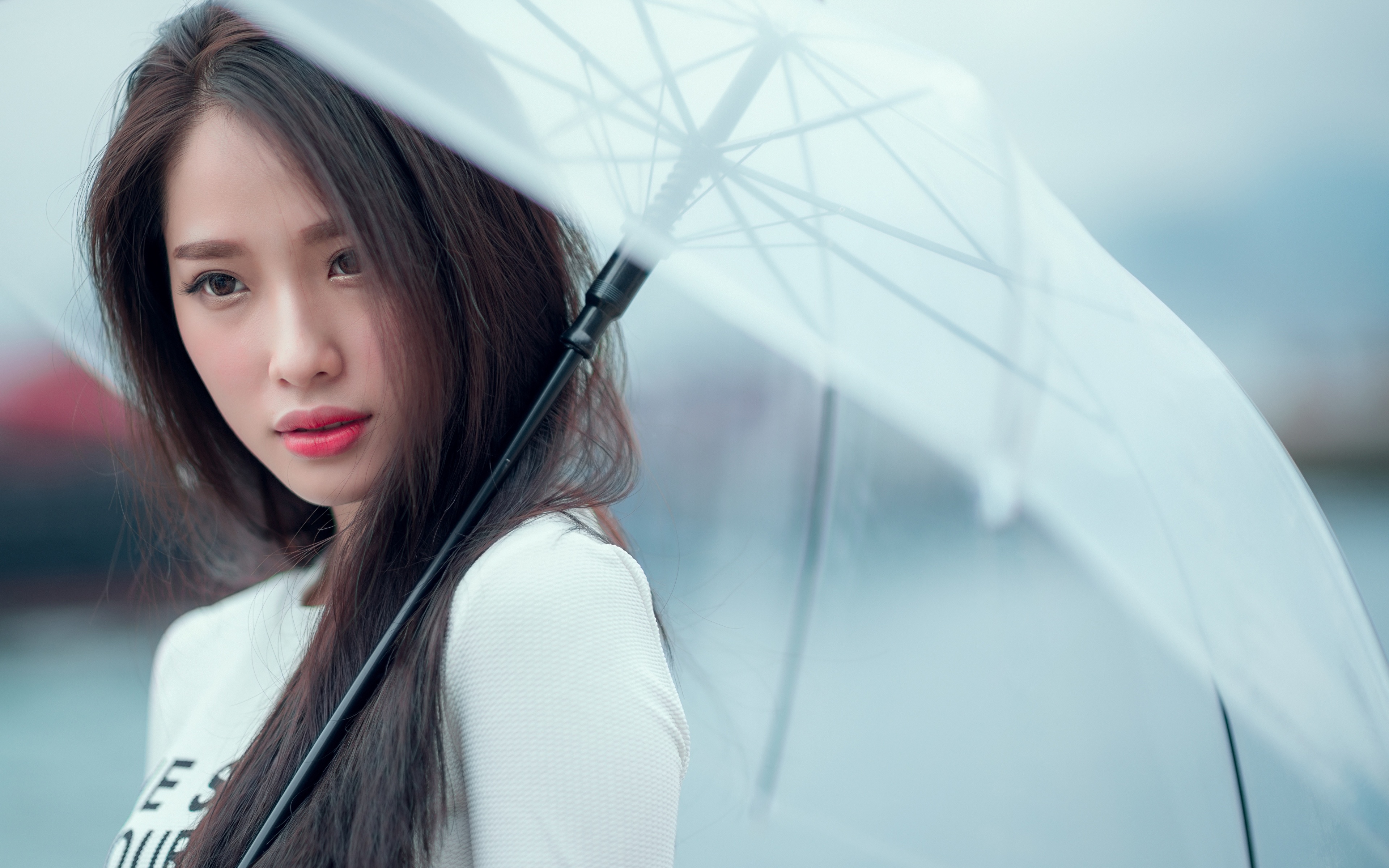 Фотография Брюнетка Размытый фон Девушки Азиаты Зонт смотрят 3840x2400 брюнетки брюнеток боке девушка молодая женщина молодые женщины азиатки азиатка зонтом зонтик Взгляд смотрит