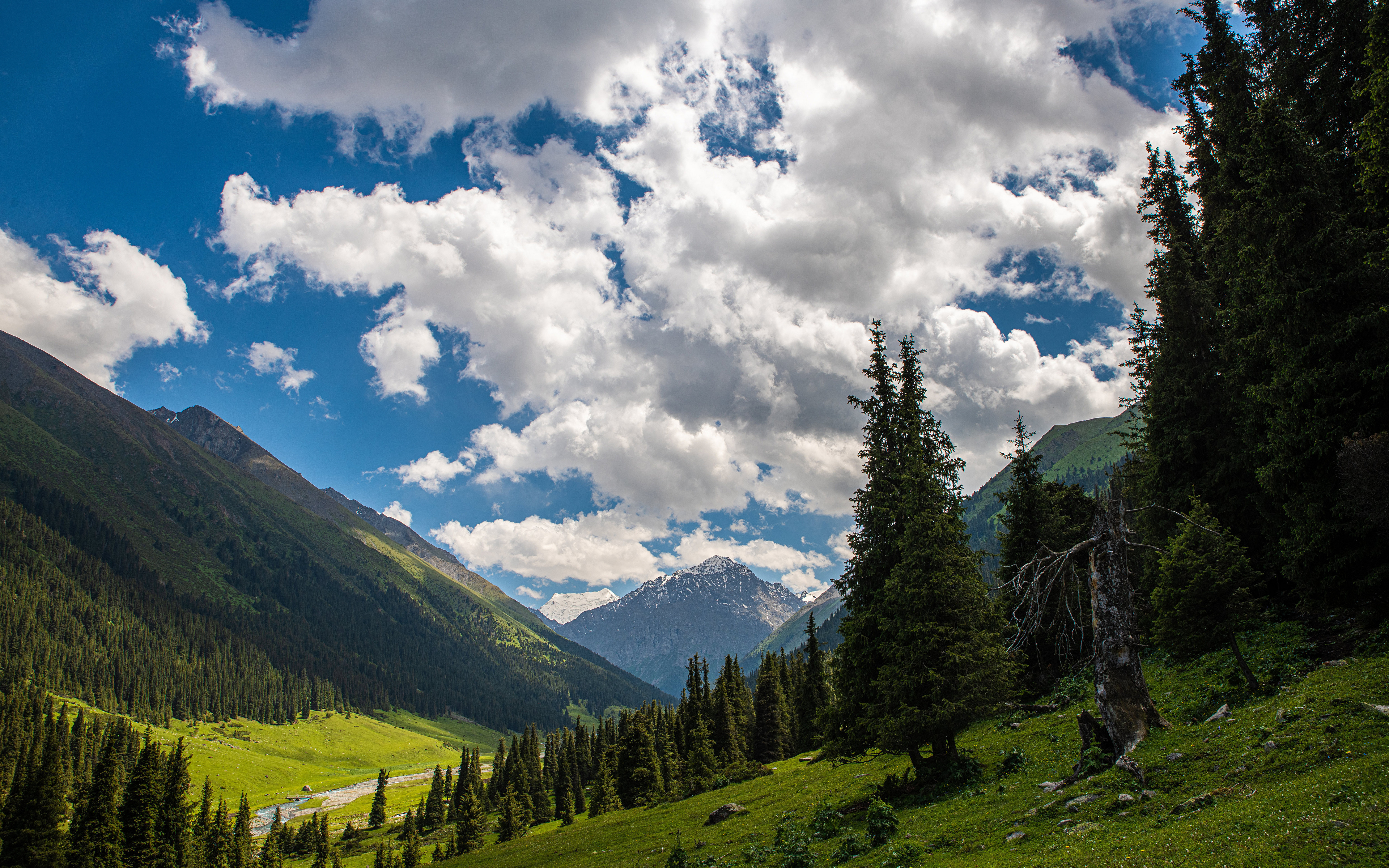 Фотографии Altyn Arashan, Kyrgyzstan гора Природа дерево облачно 3840x2400 Горы Облака облако дерева Деревья деревьев