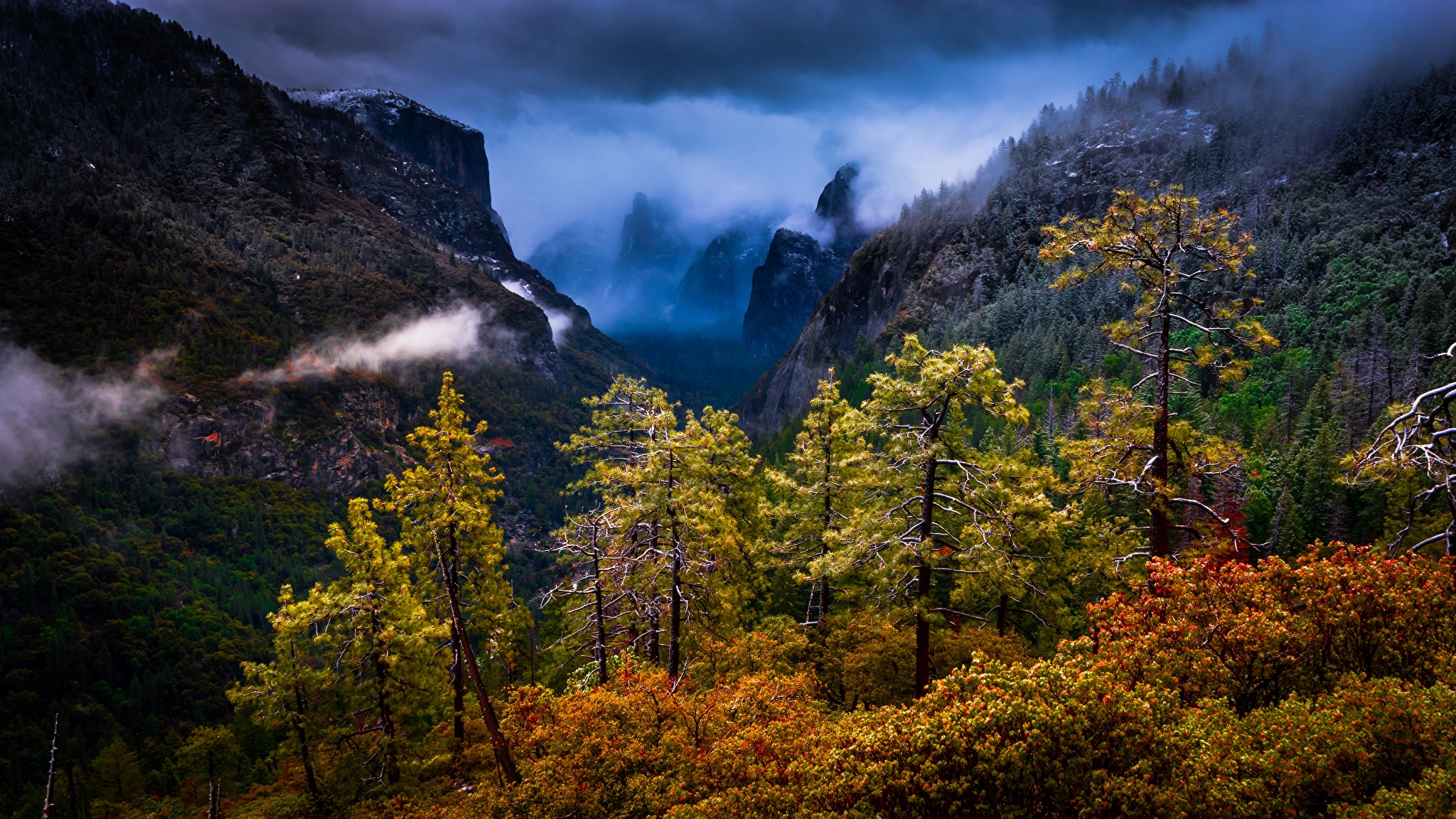 Национальный парк Йосемити Калифорния