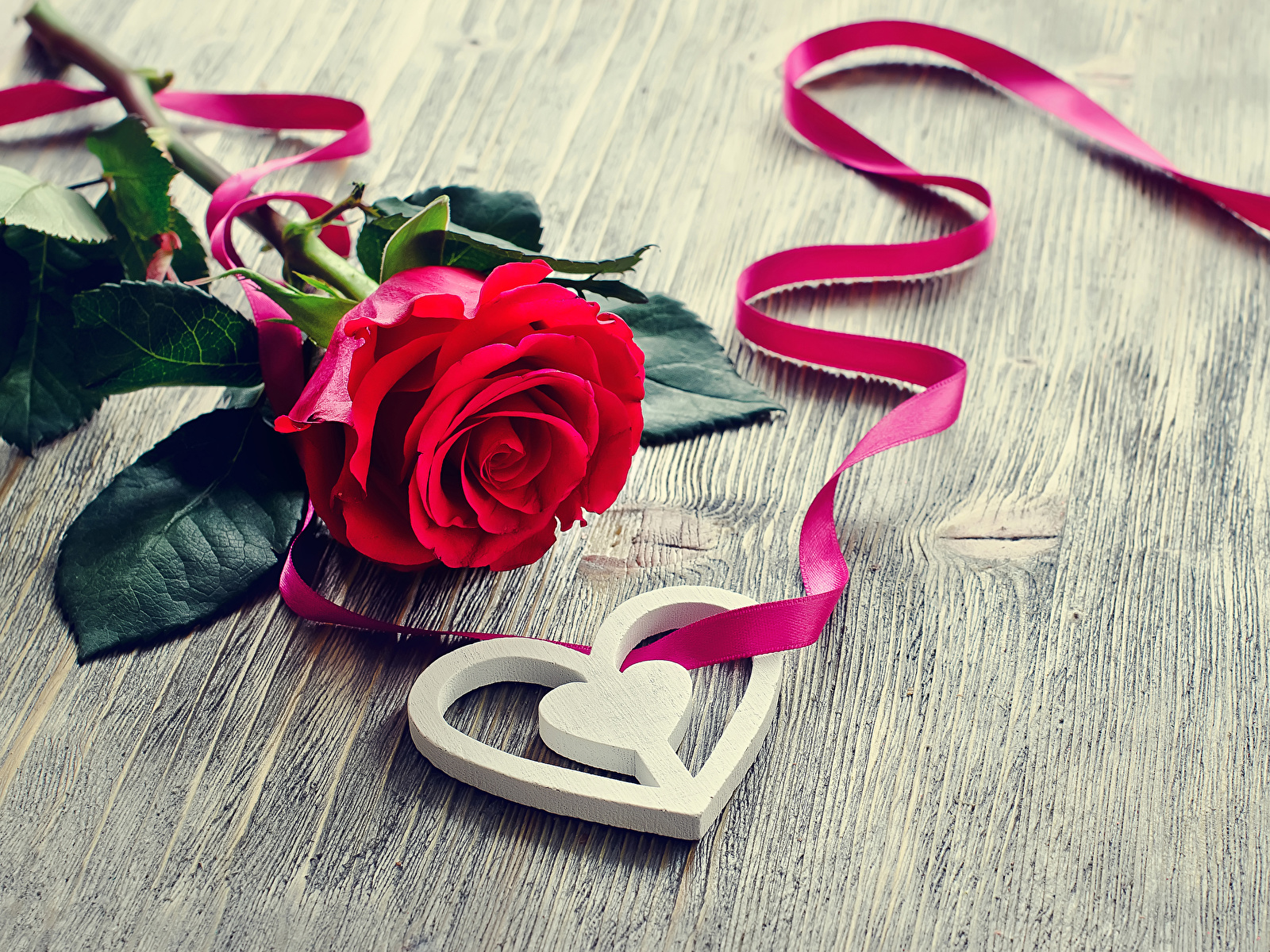 Фото День всех влюблённых серце роза красных Цветы Лента Праздники 1600x1200 День святого Валентина Сердце сердца сердечко Розы красная красные Красный цветок ленточка