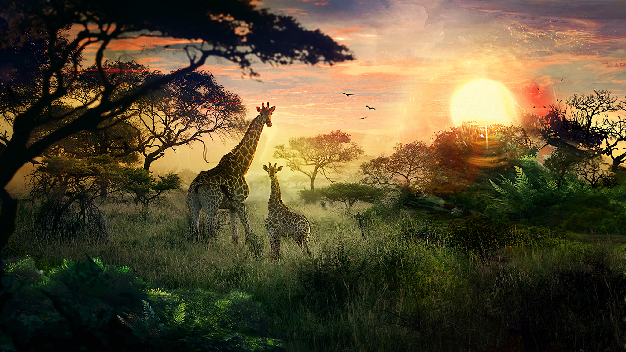 Жираф на фоне заходящего солнца загрузить