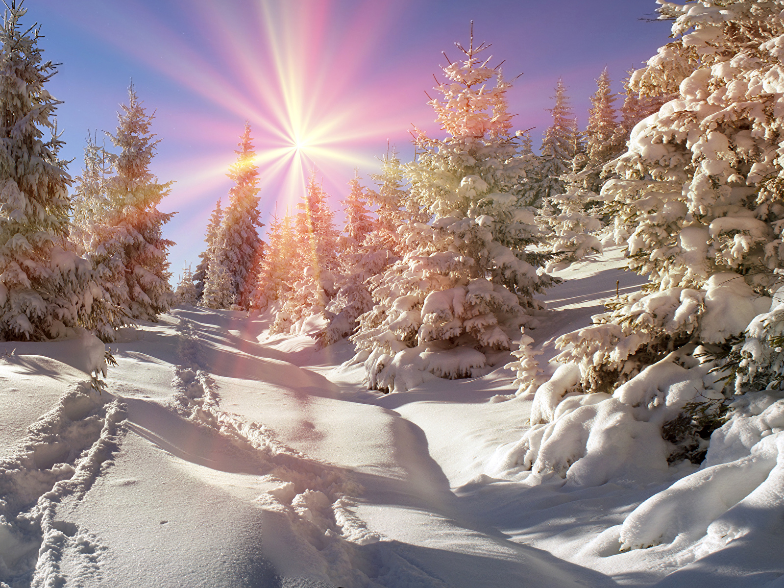 Январский день. Зимнее солнцестояние. День зимнего солнцестояния фото. Снегопад красота. Зимнее солнцестояние 2022.