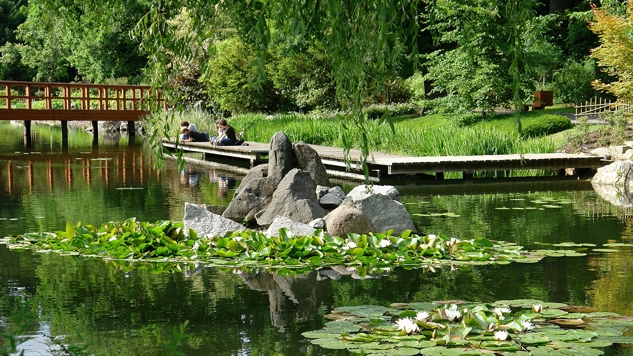 Японский сад Вроцлав