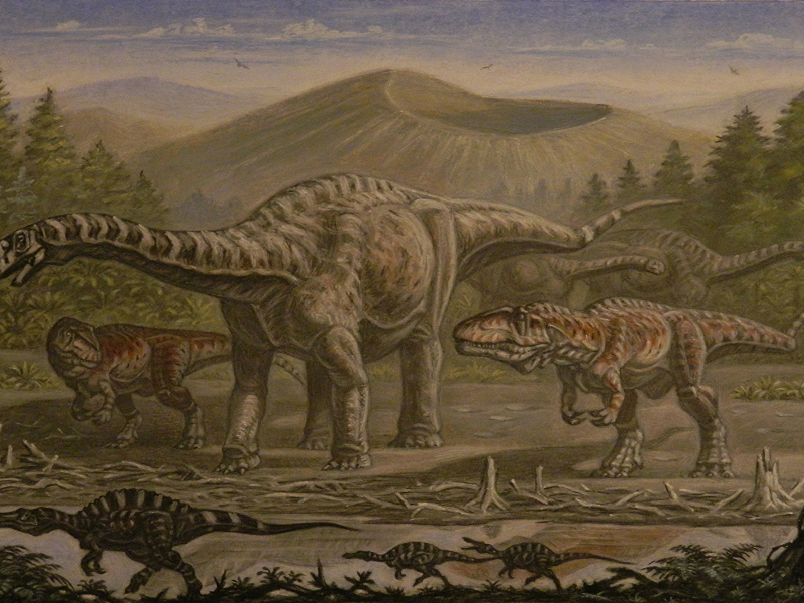 Гигантозавр и Аргентинозавр