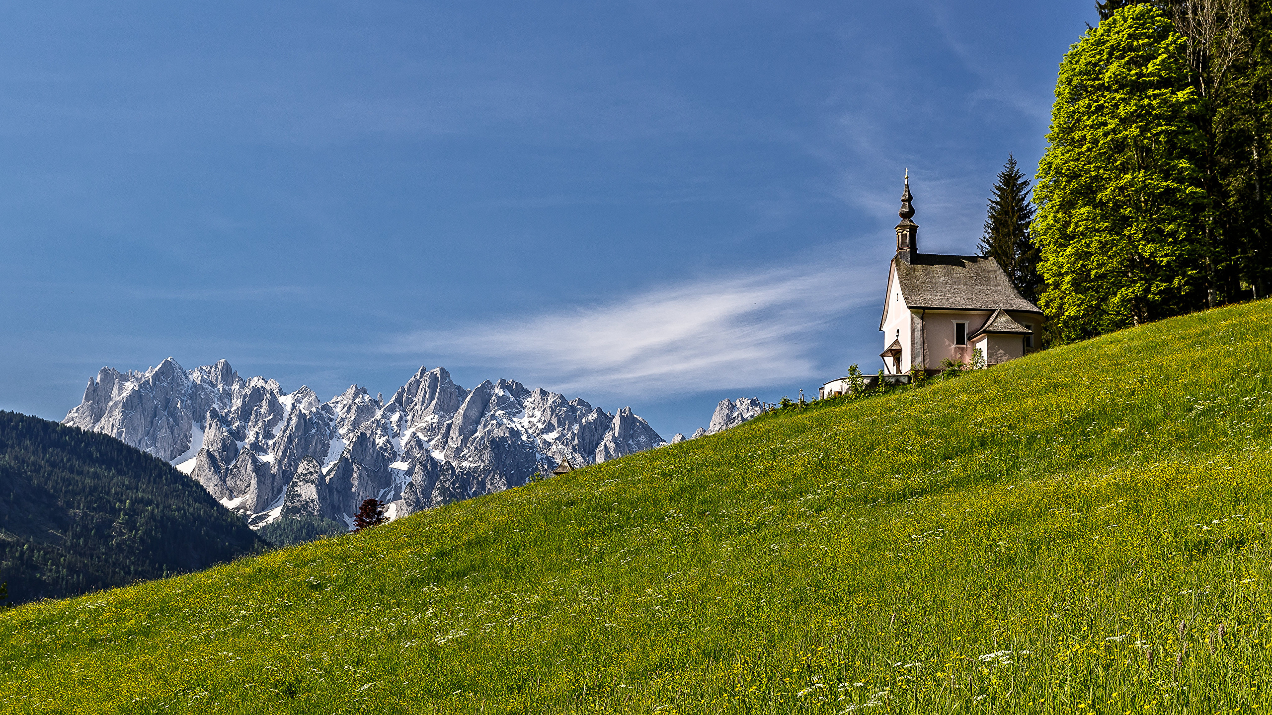 Австрийские луга фото