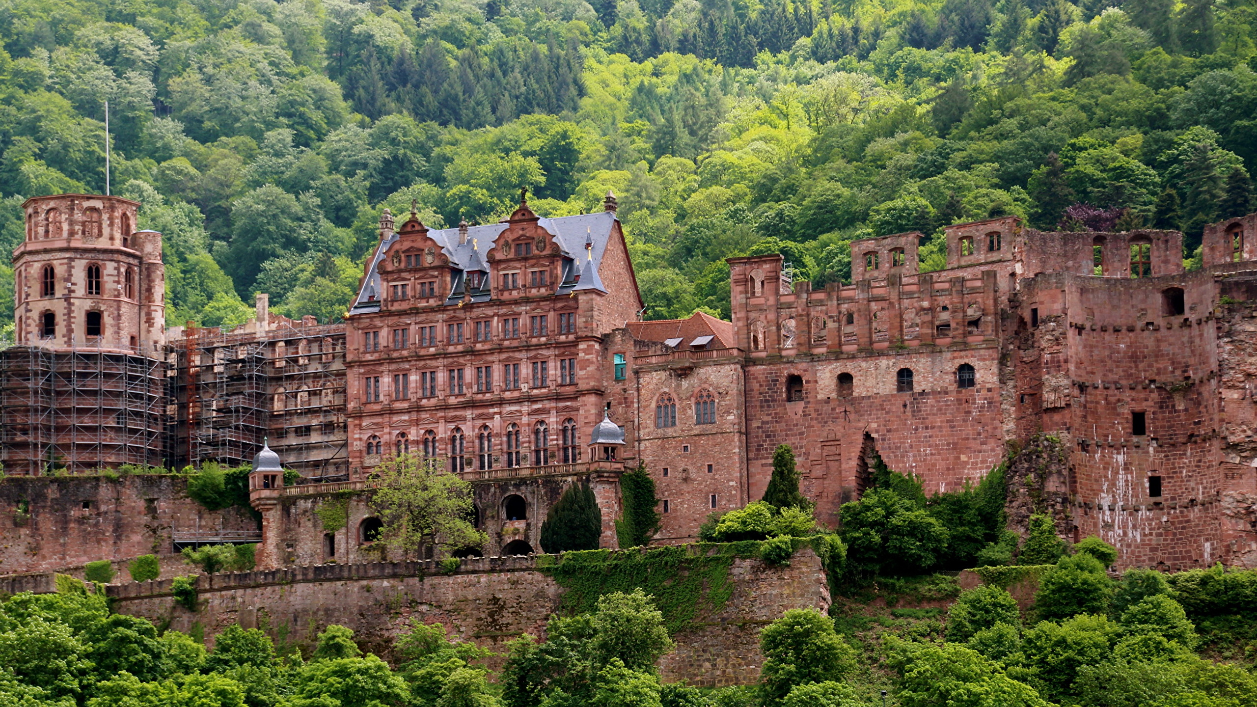 Heidelberg, Germany бесплатно